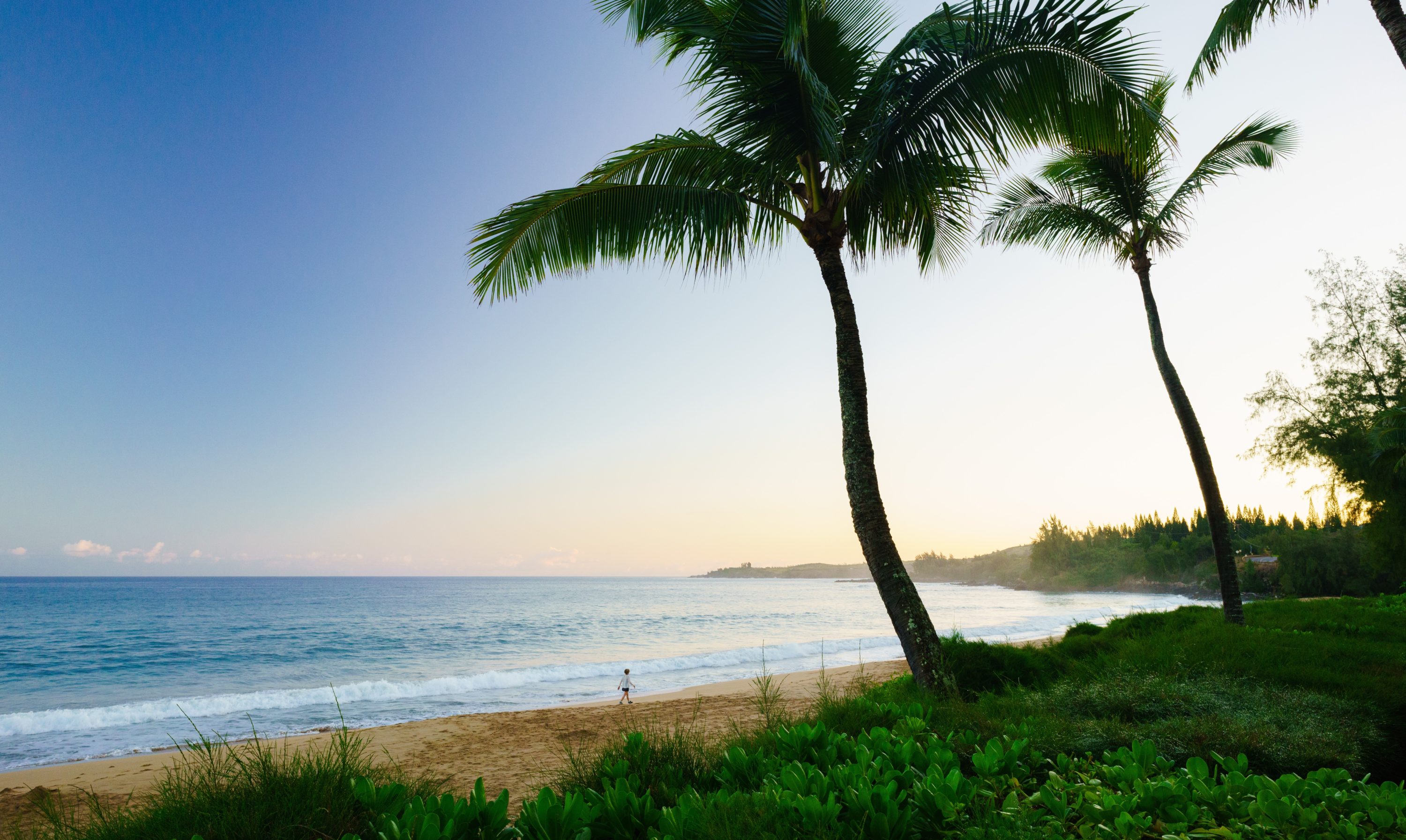 D.T. Fleming Beach Park