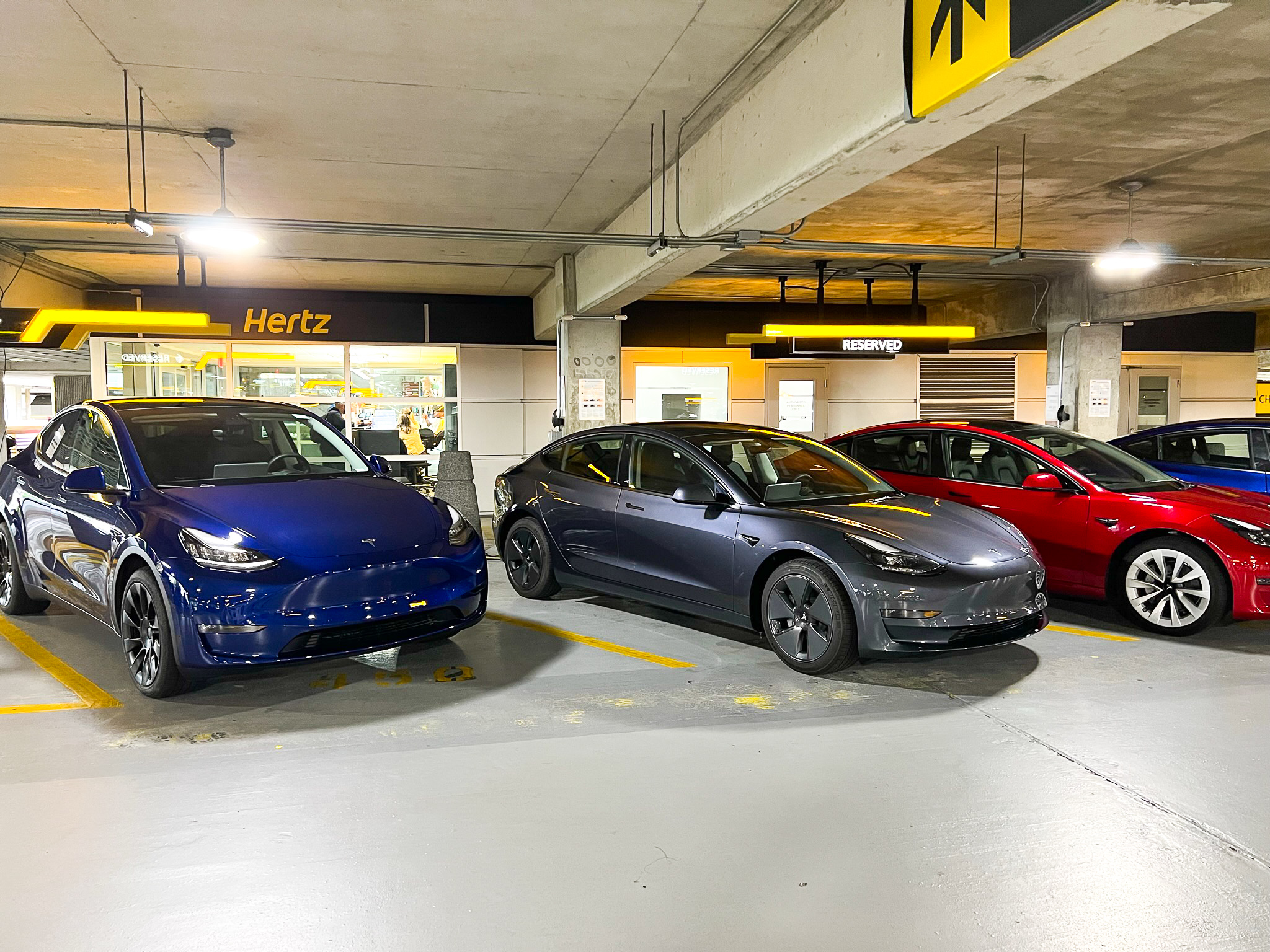Hertz Tesla Model Y colors