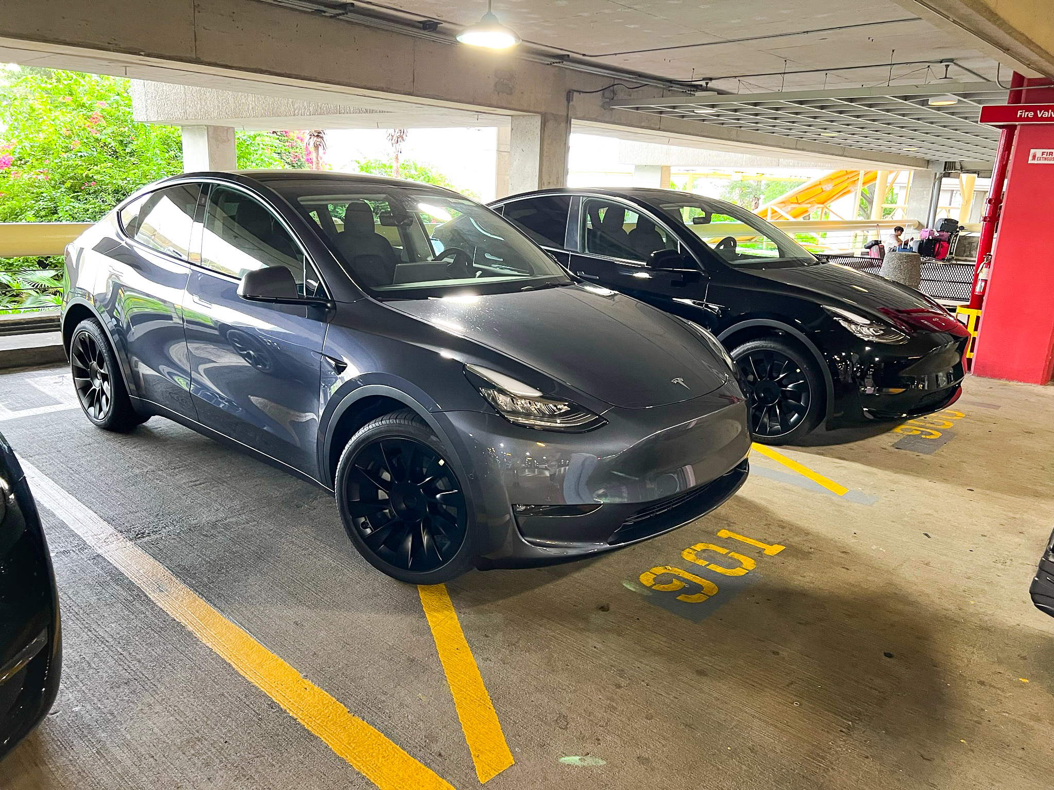 Hertz Tesla Model Y side