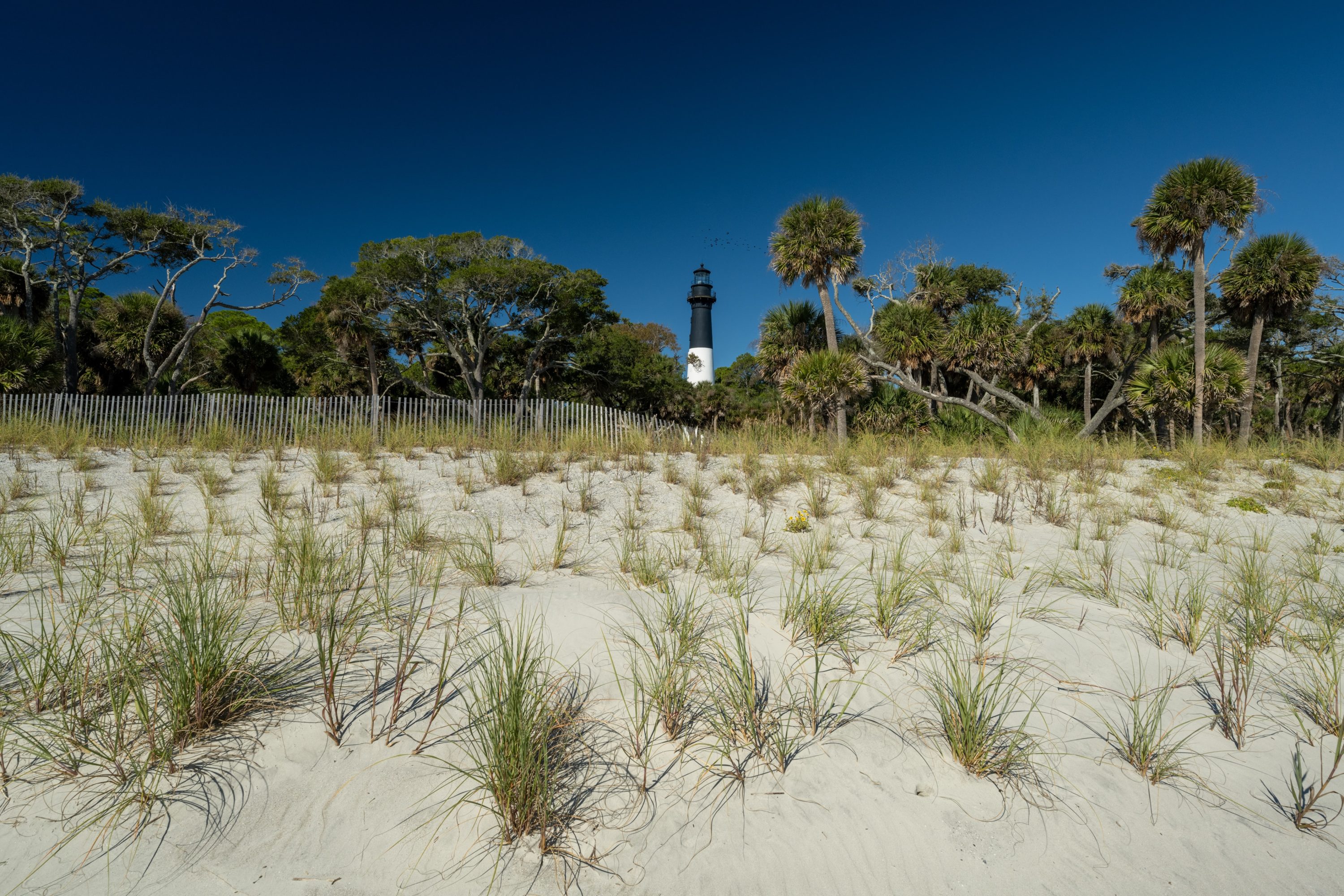 Hunting Island State Park