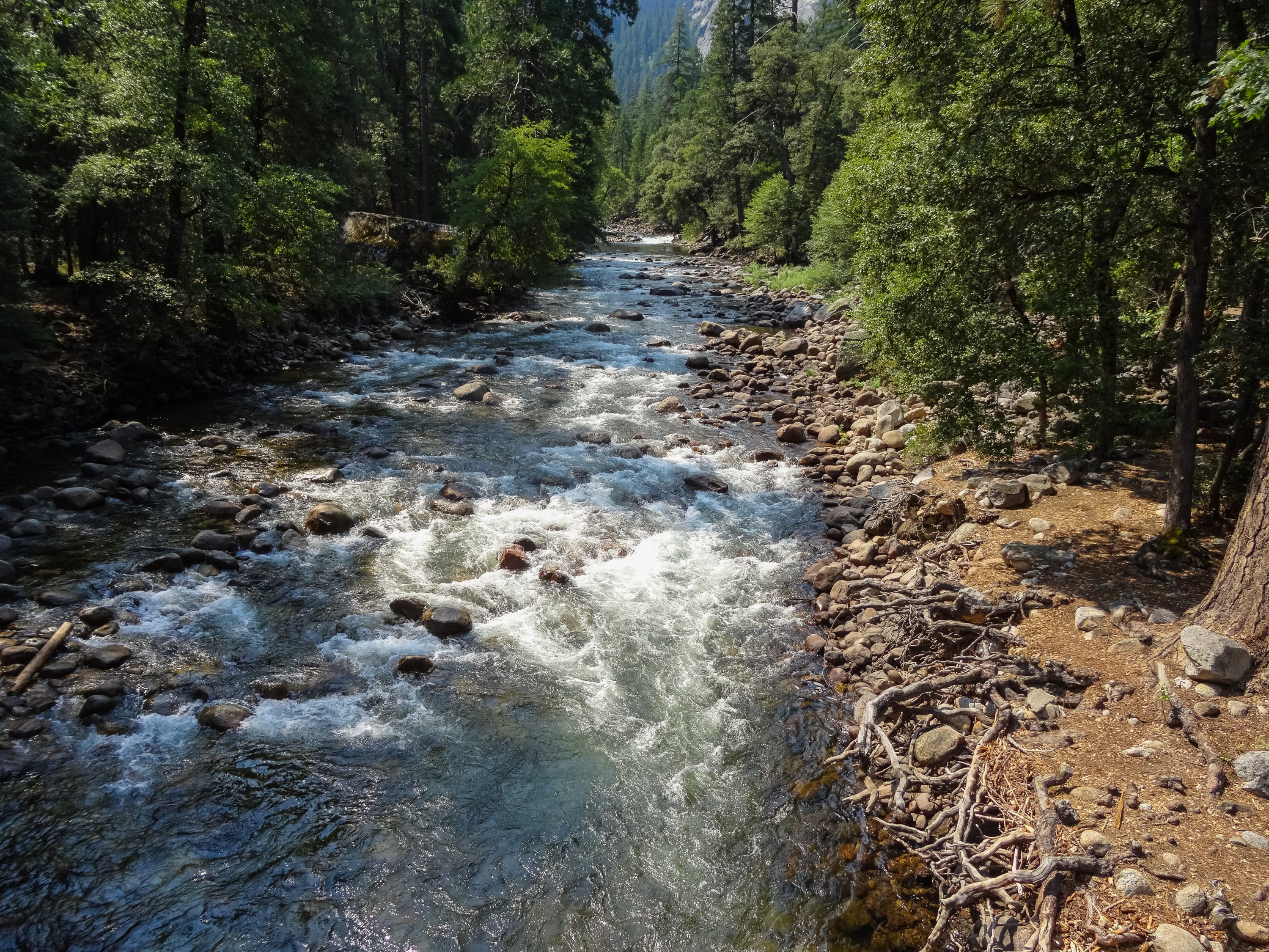 Kings Canyon River