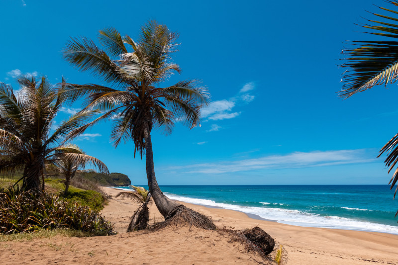 Playa El Pastillo Isabela