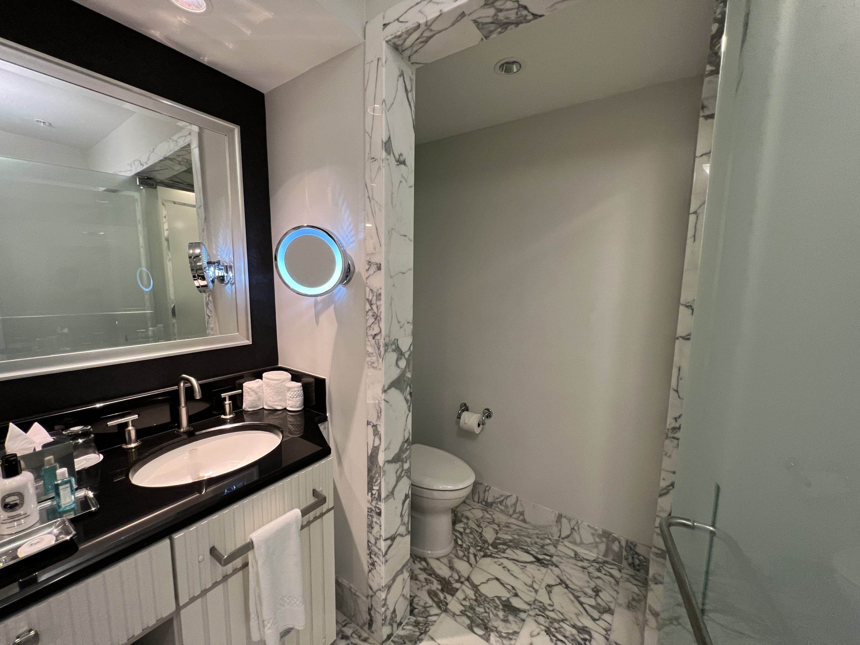 Ritz Carlton South Beach Water Closet