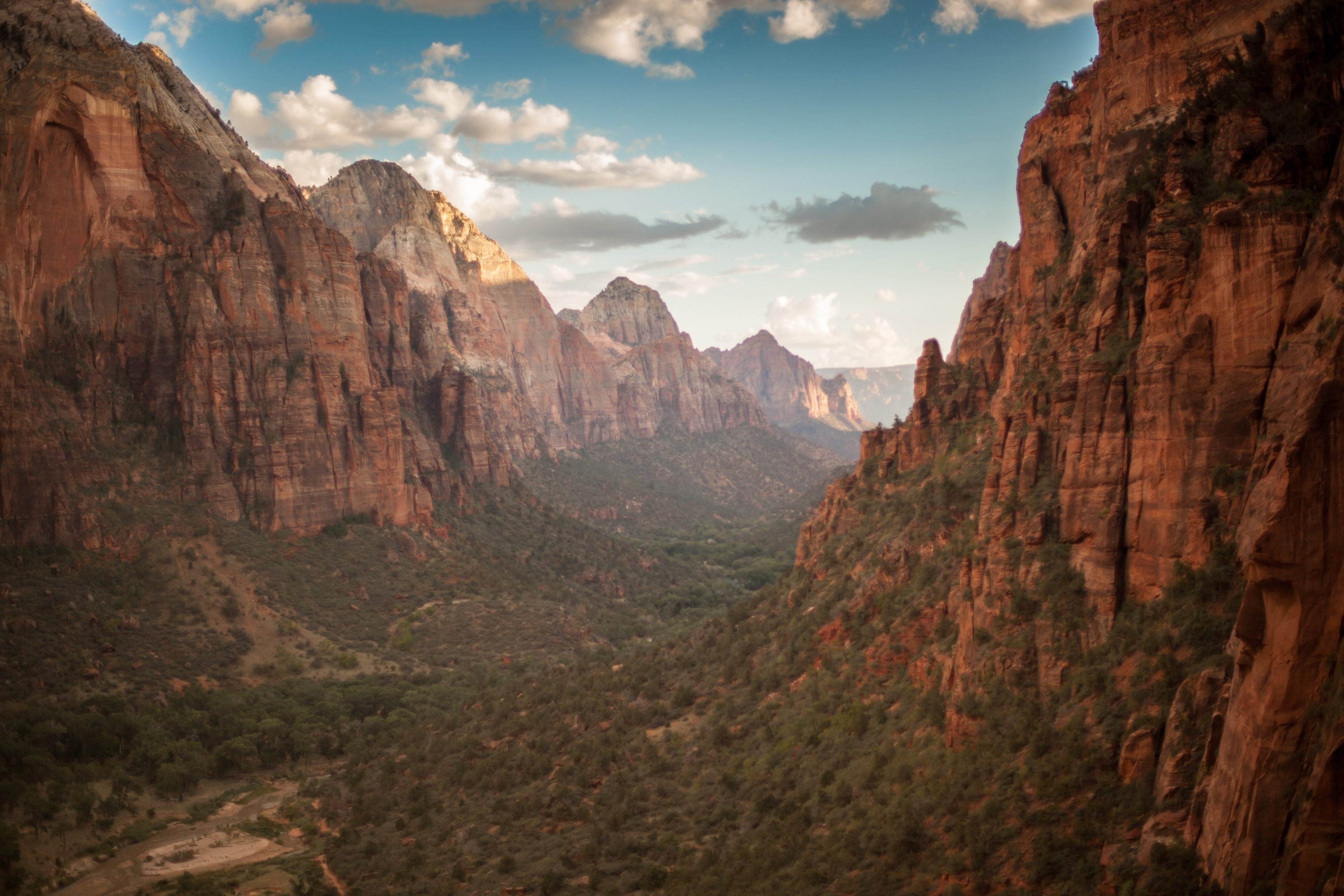 Zion National Park View