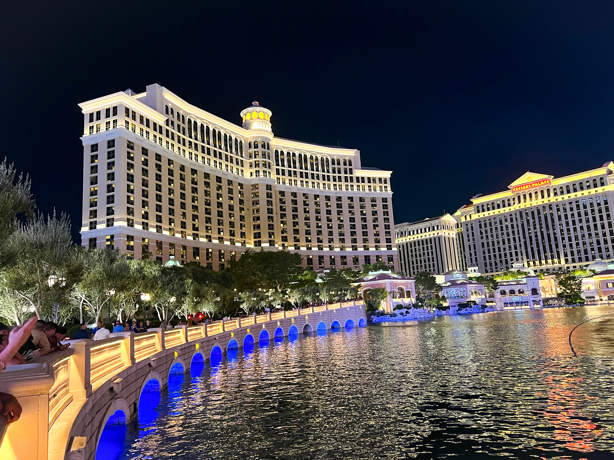Bellagio Las Vegas at night