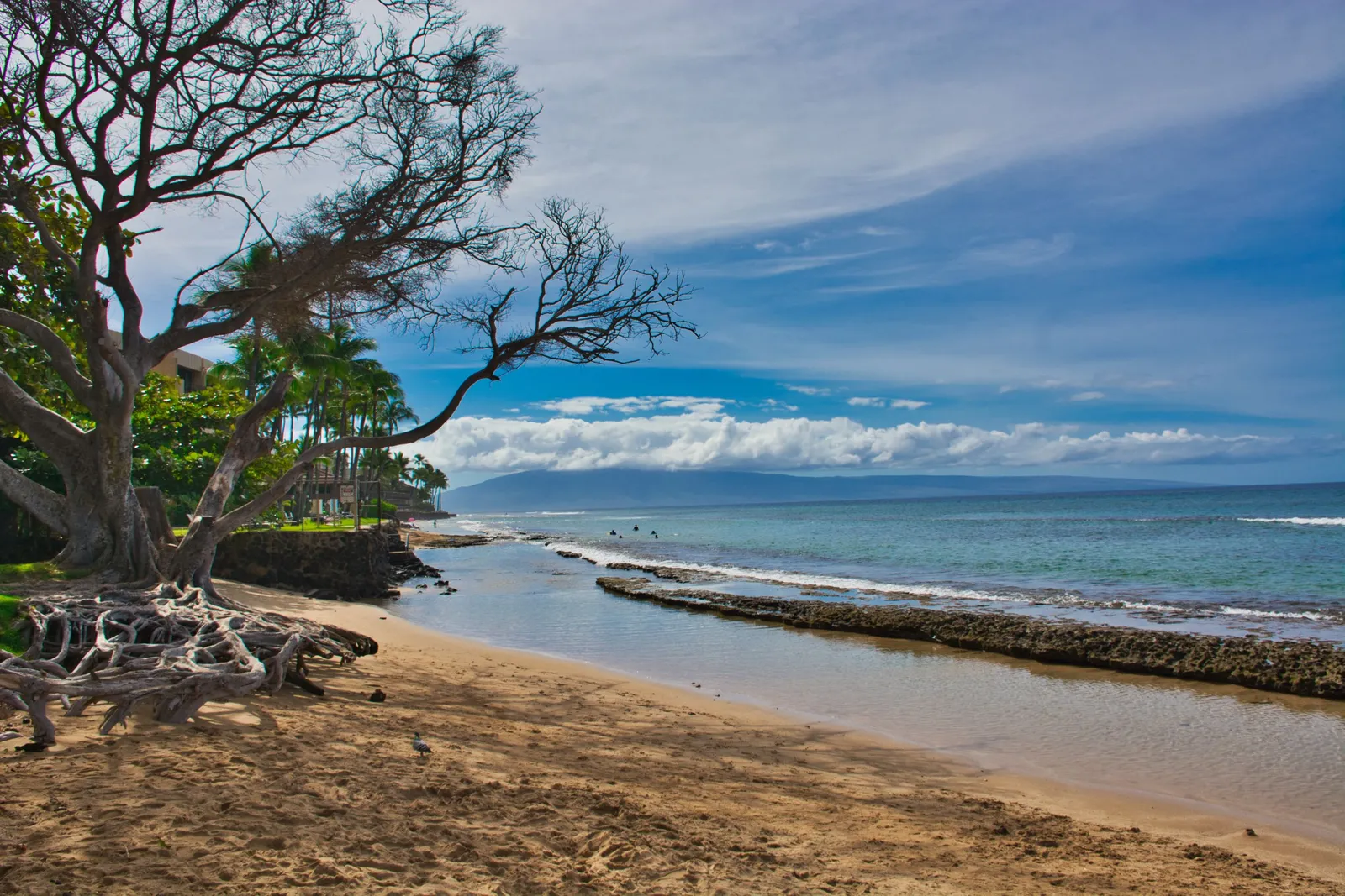 Honokowai Beach Park
