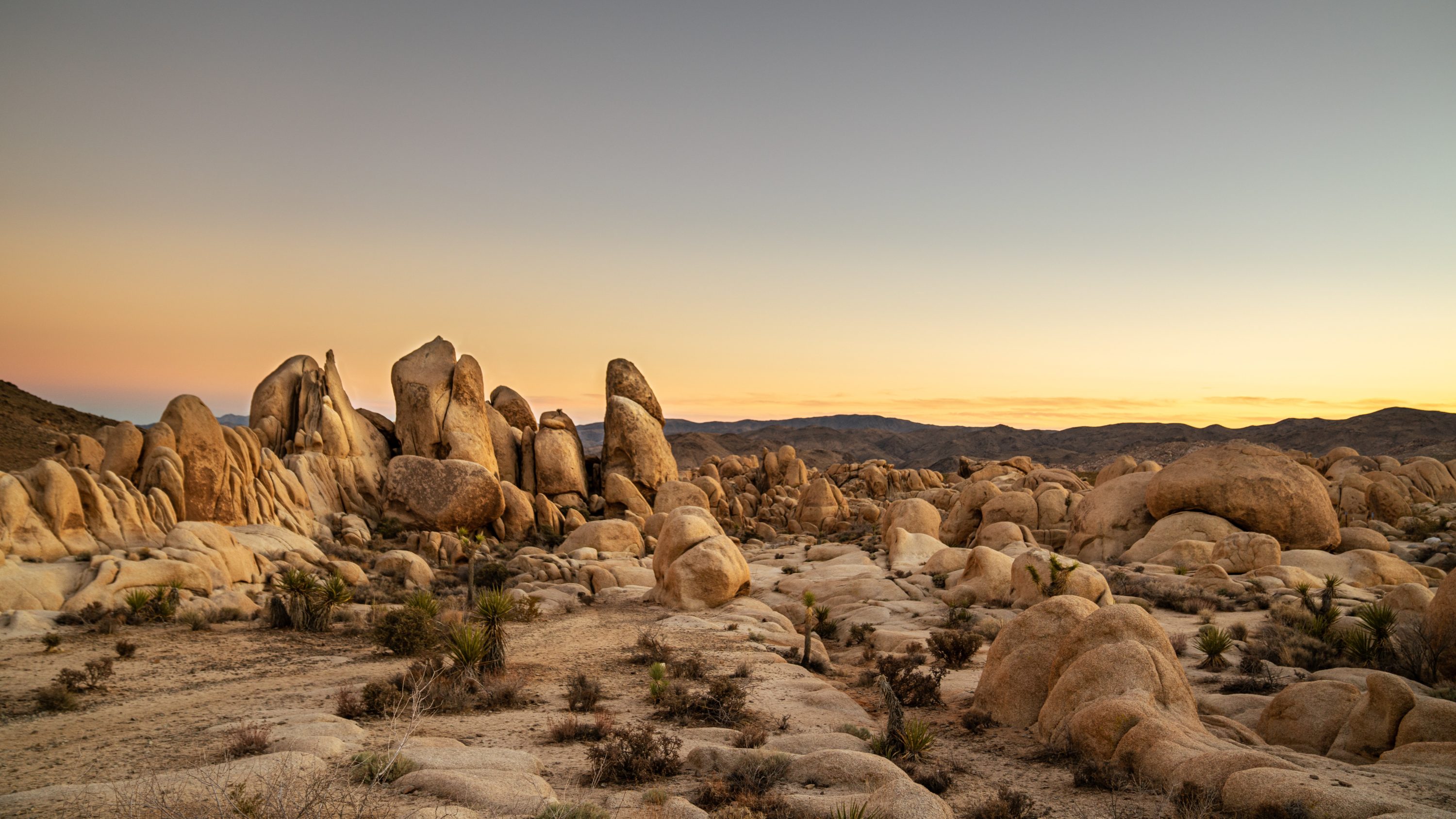 Joshua Tree National Park California USA