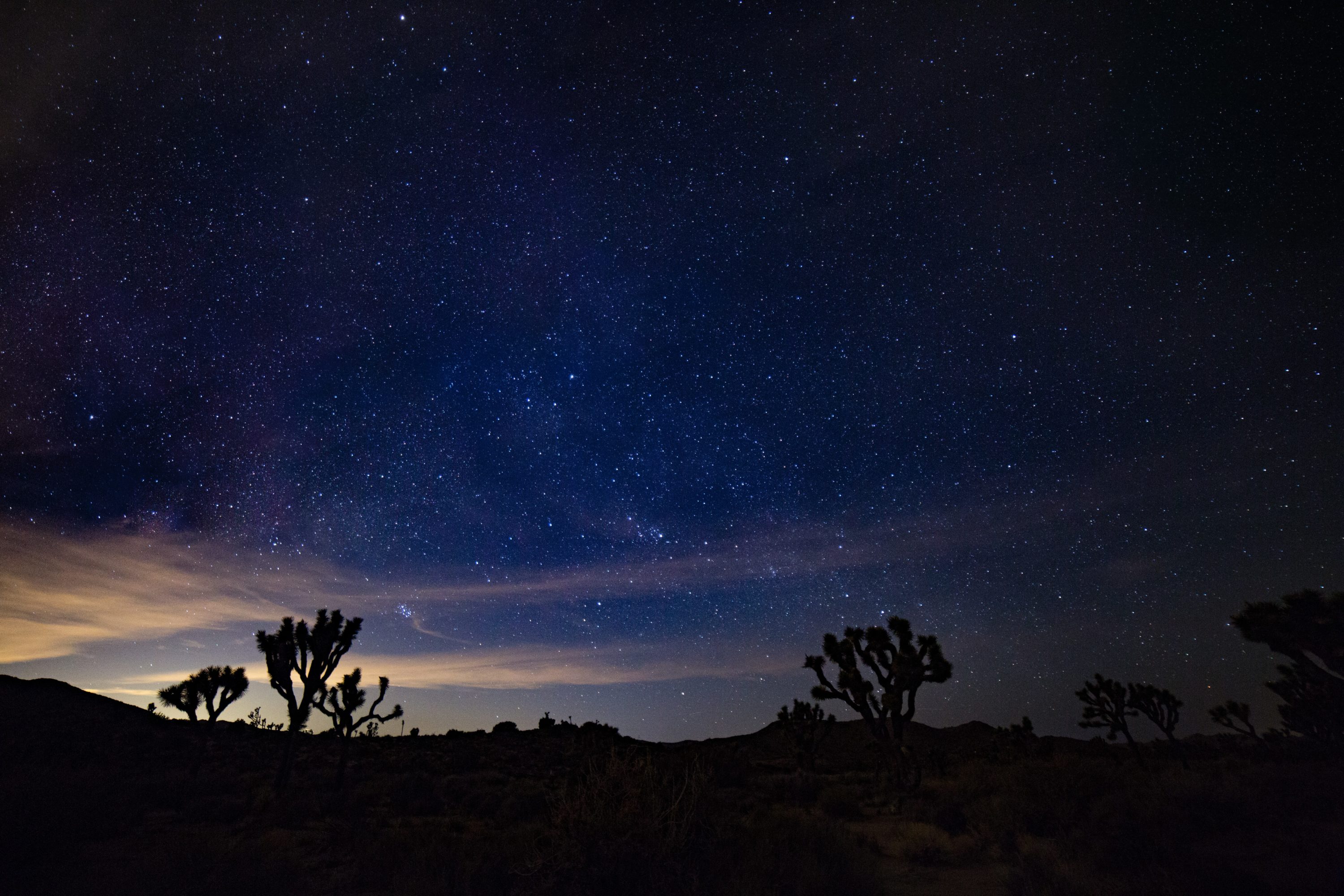 Joshua Tree National Park Stargazing