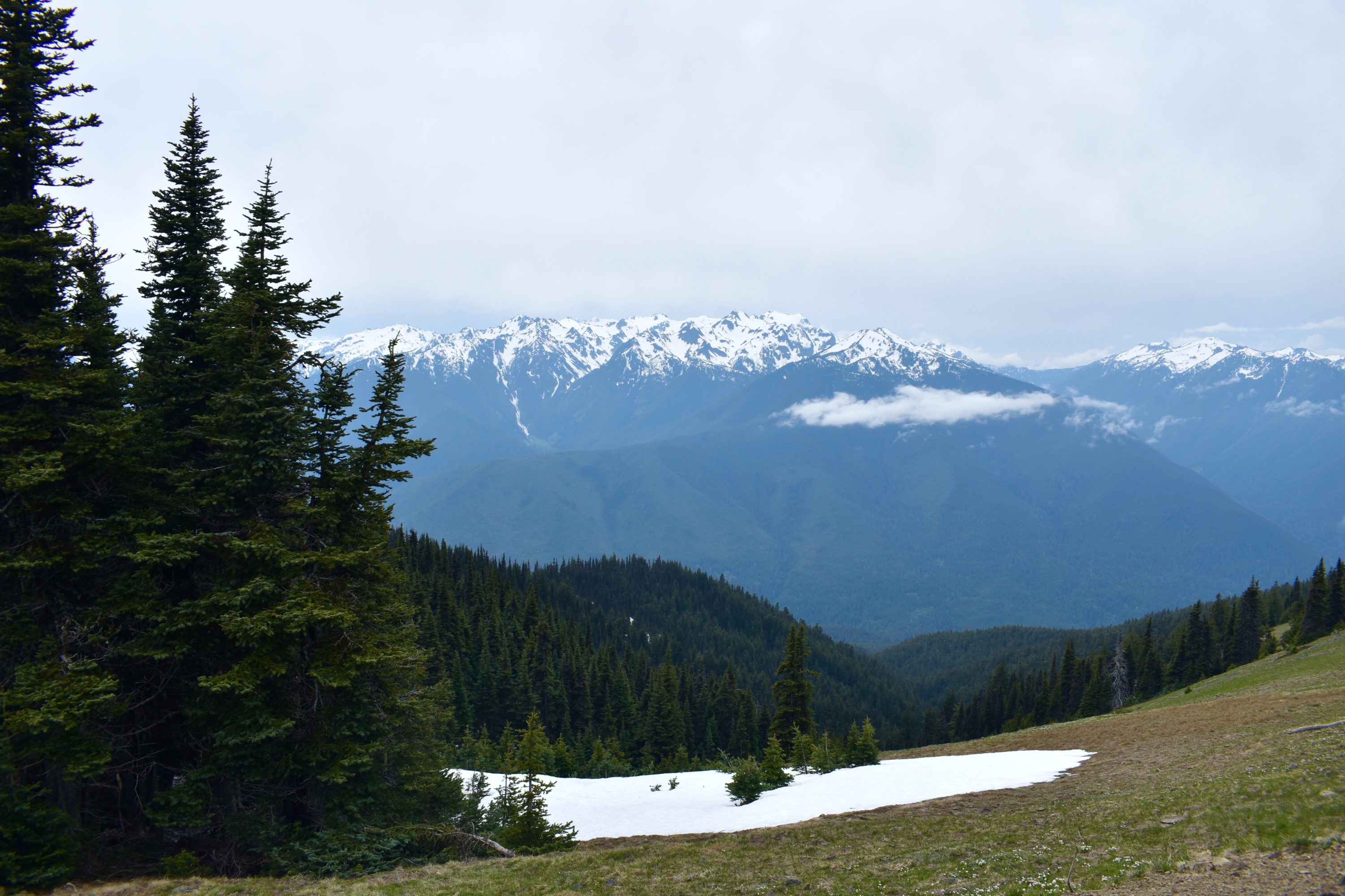 Olympic National Park in Winter