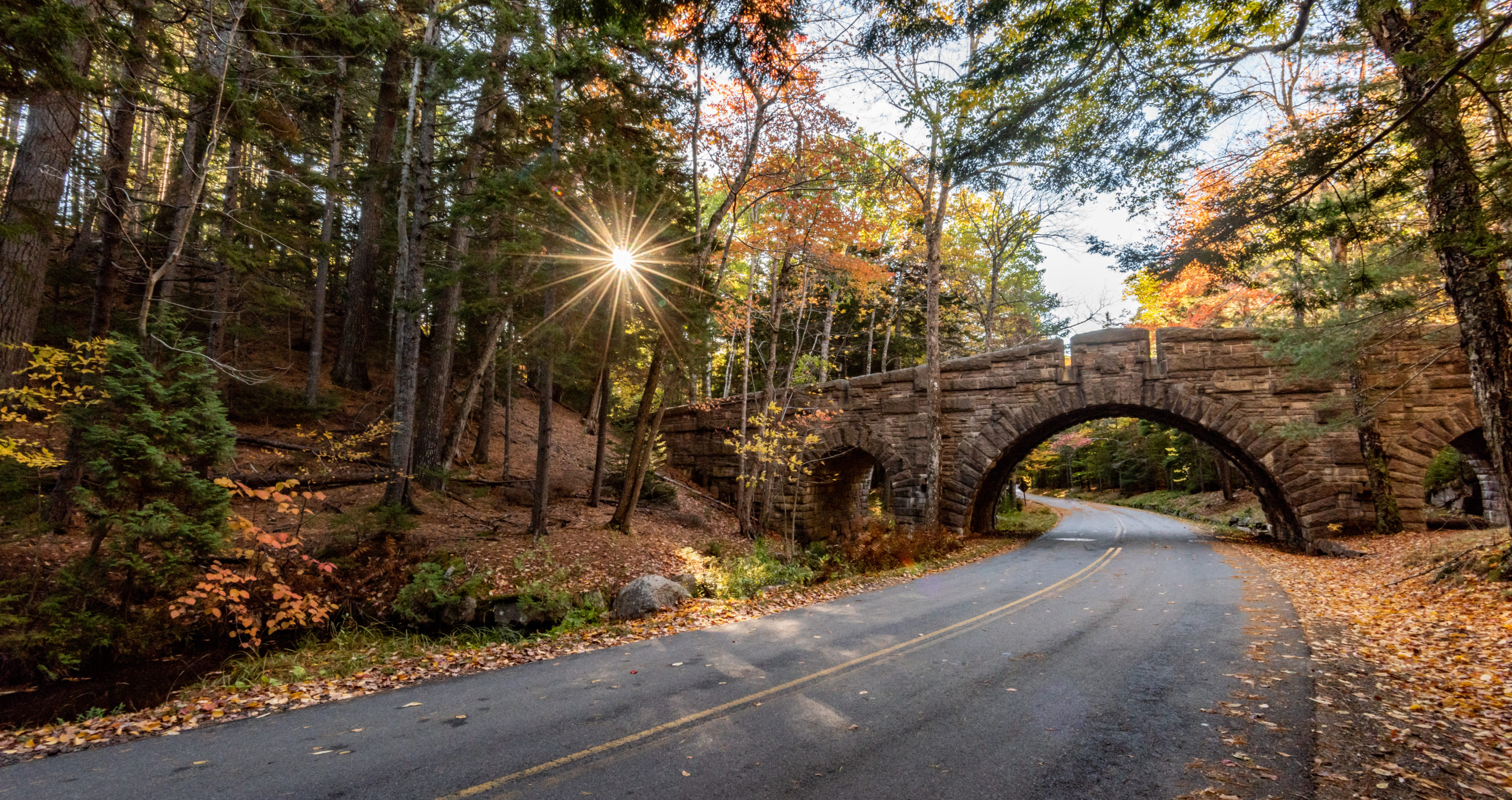 Road through Acadia