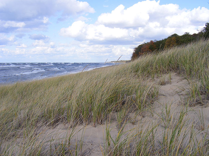 Saugatuck Dunes State Park