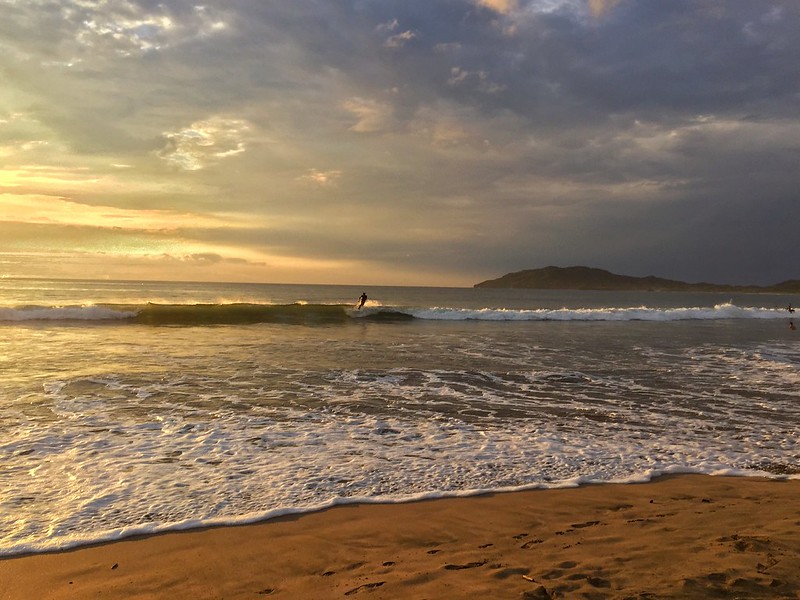 Tamarindo