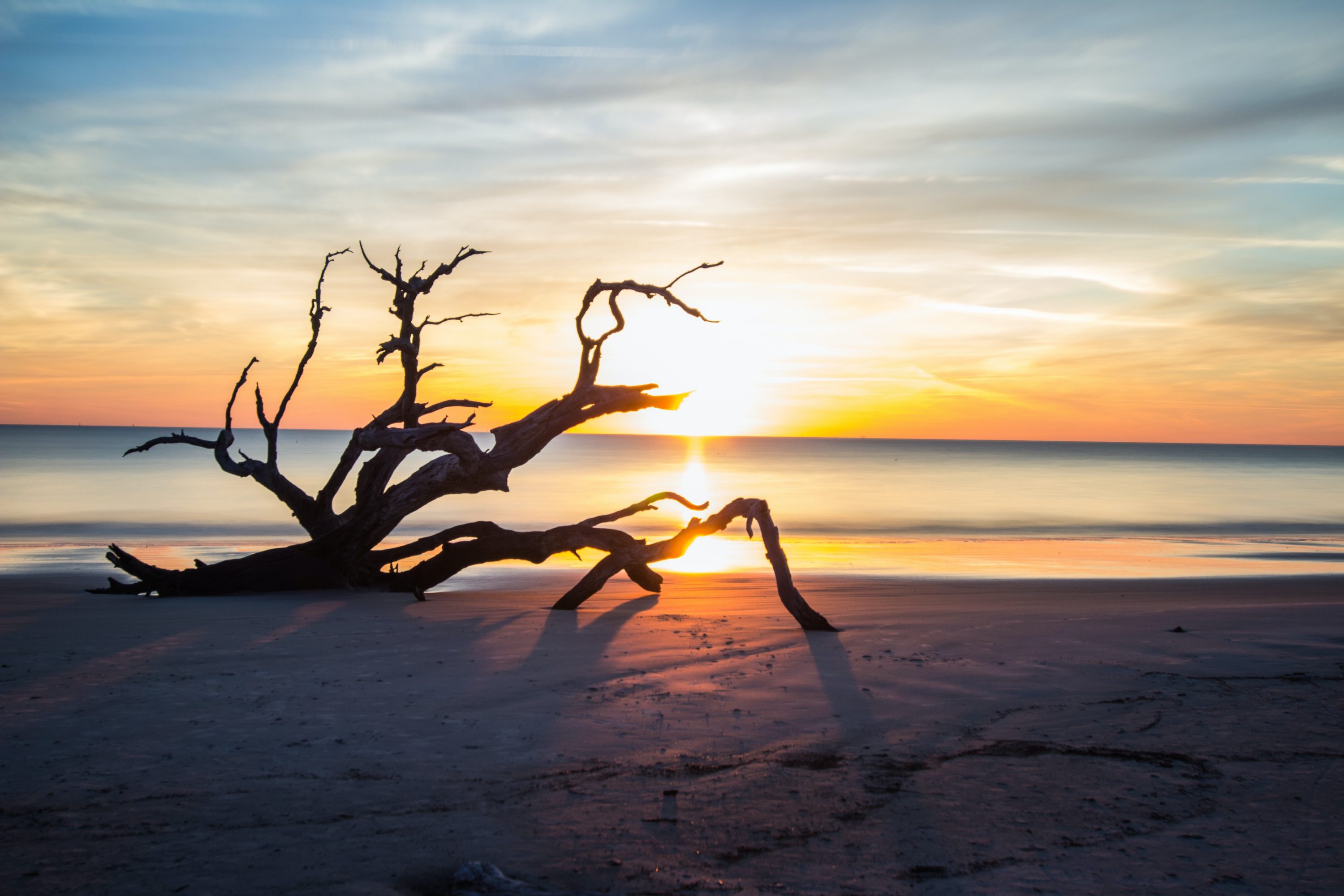 Driftwood Beach