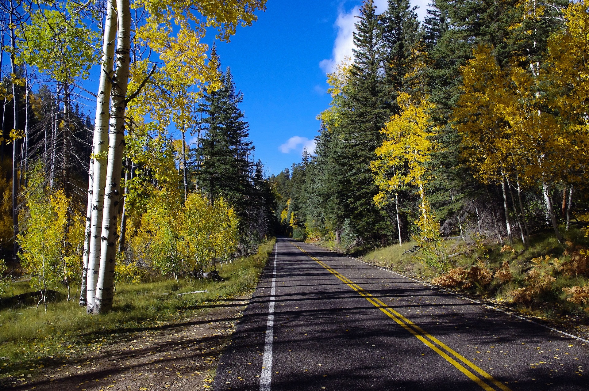 Driving to Grand Canyon National Park