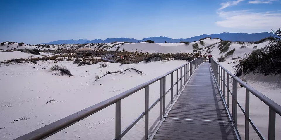 Interdune Boardwalk