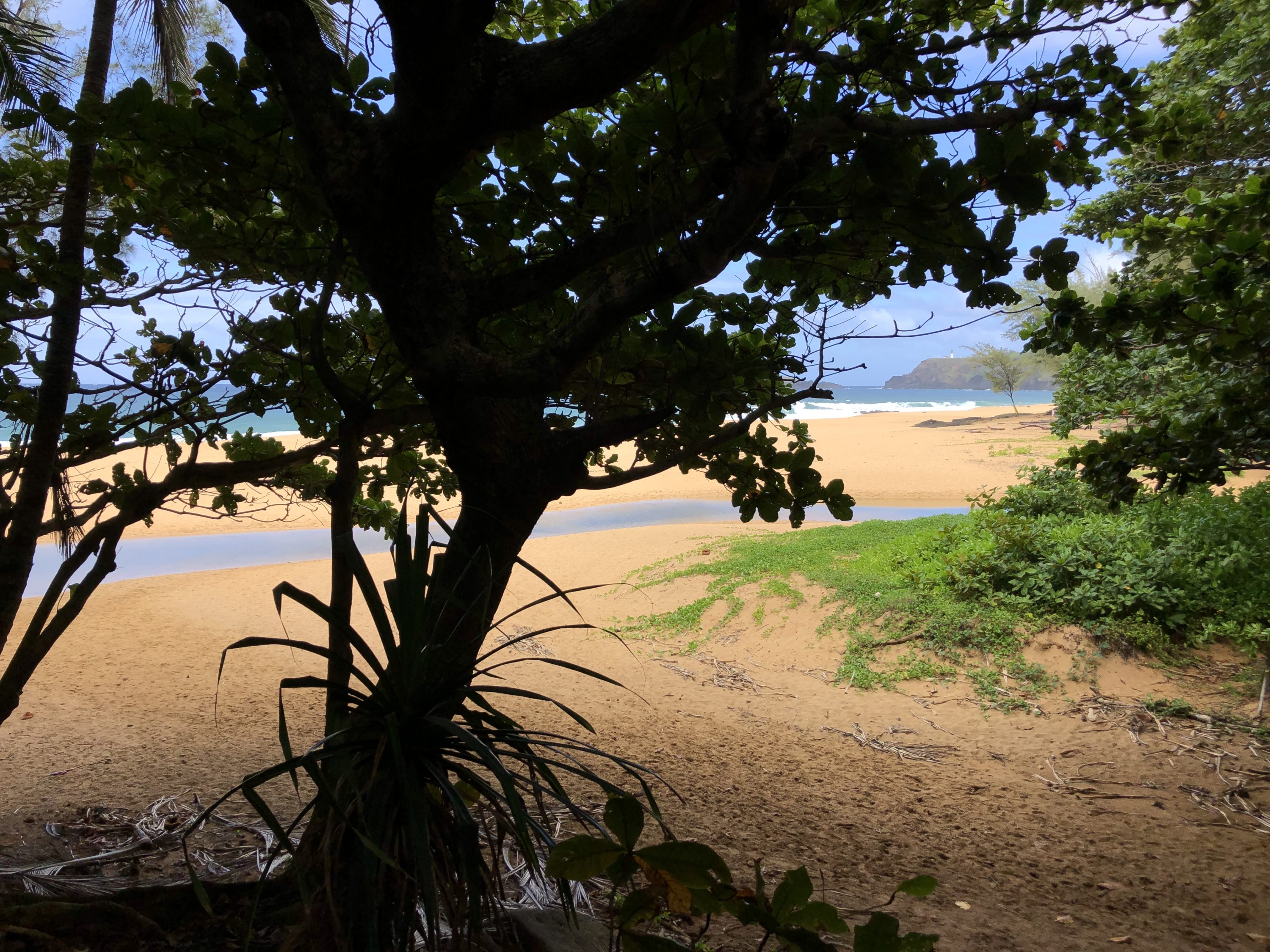 Kauapea Beach Trail