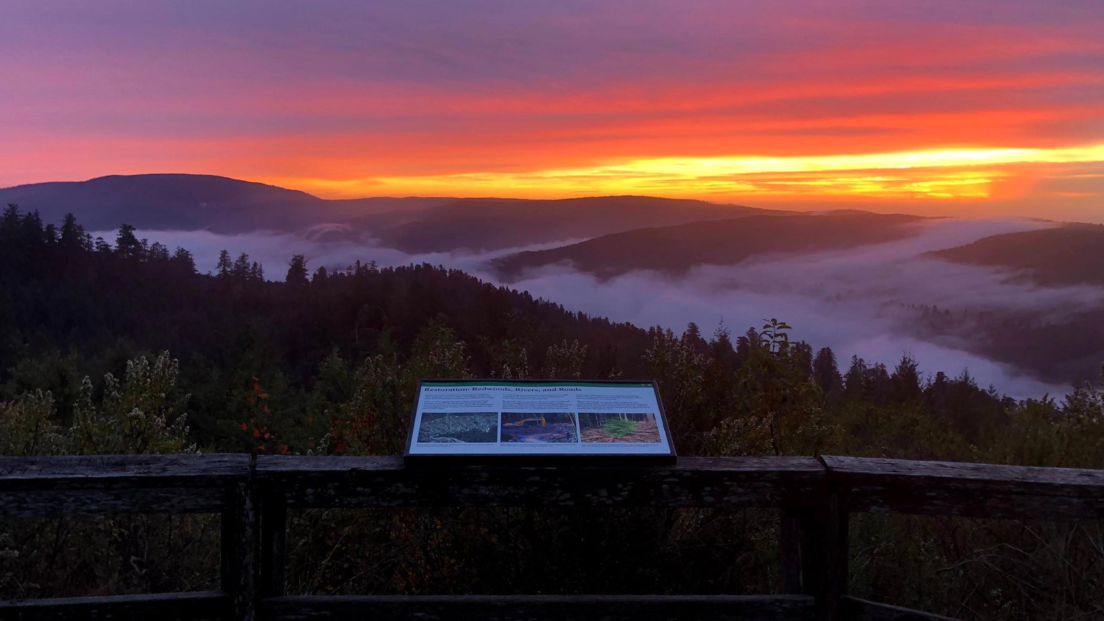 Redwood Creek Overlook