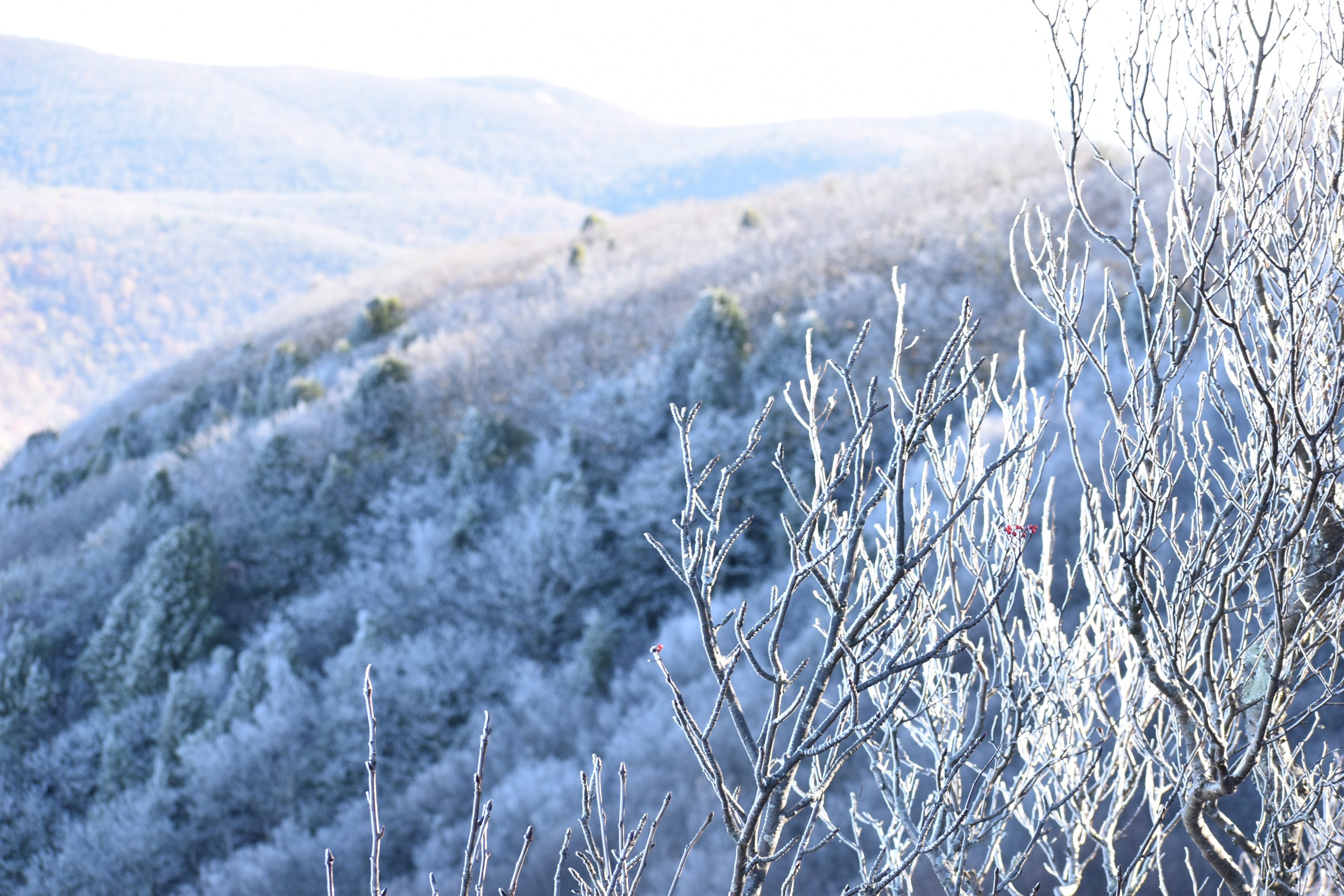 Shenandoah National Park in Winter Shenandoah National Park in Winter