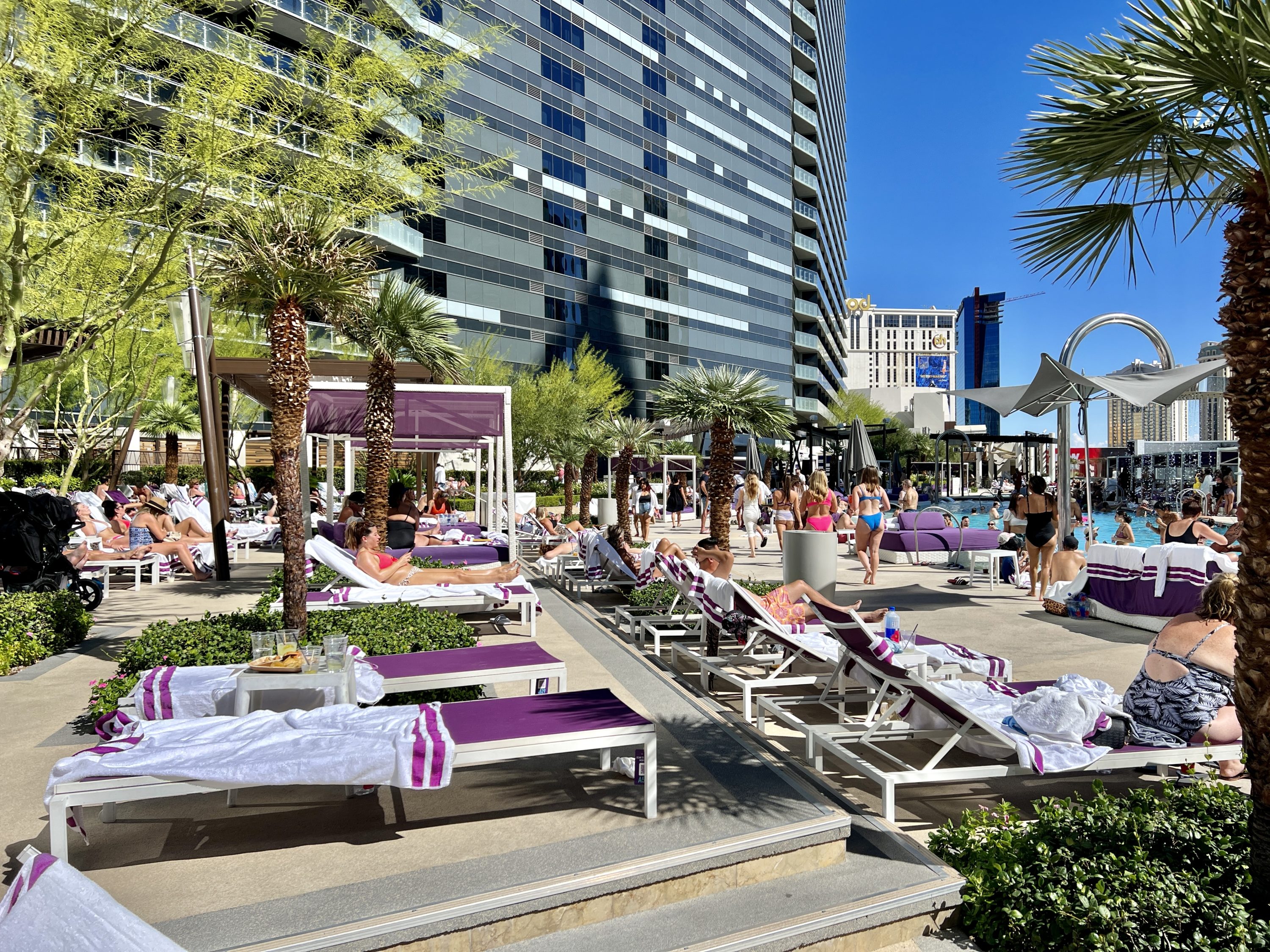 The Cosmopolitan Las Vegas Chelsea Pool Seating