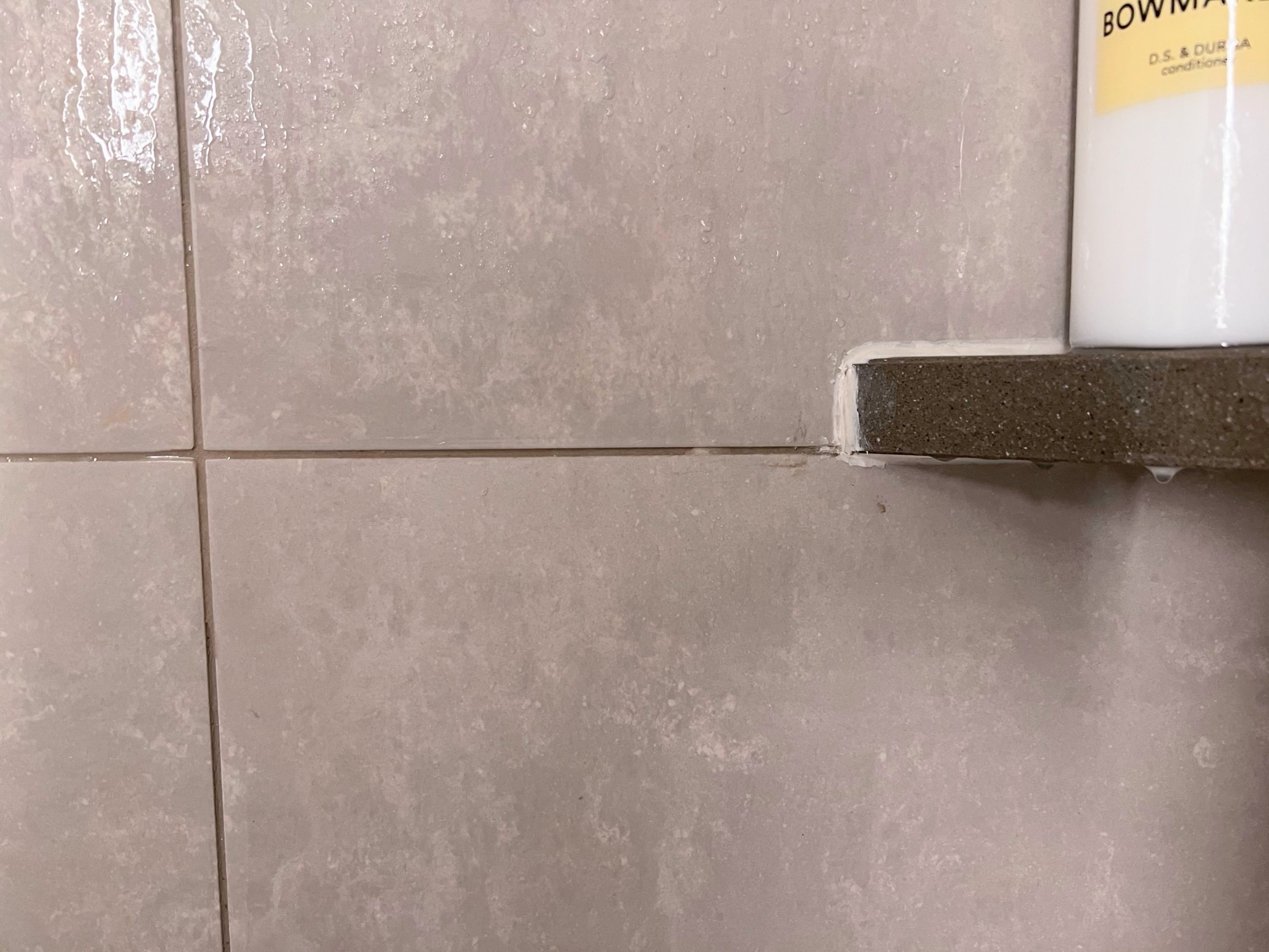 Thompson Central Park New York bathroom shower shelf