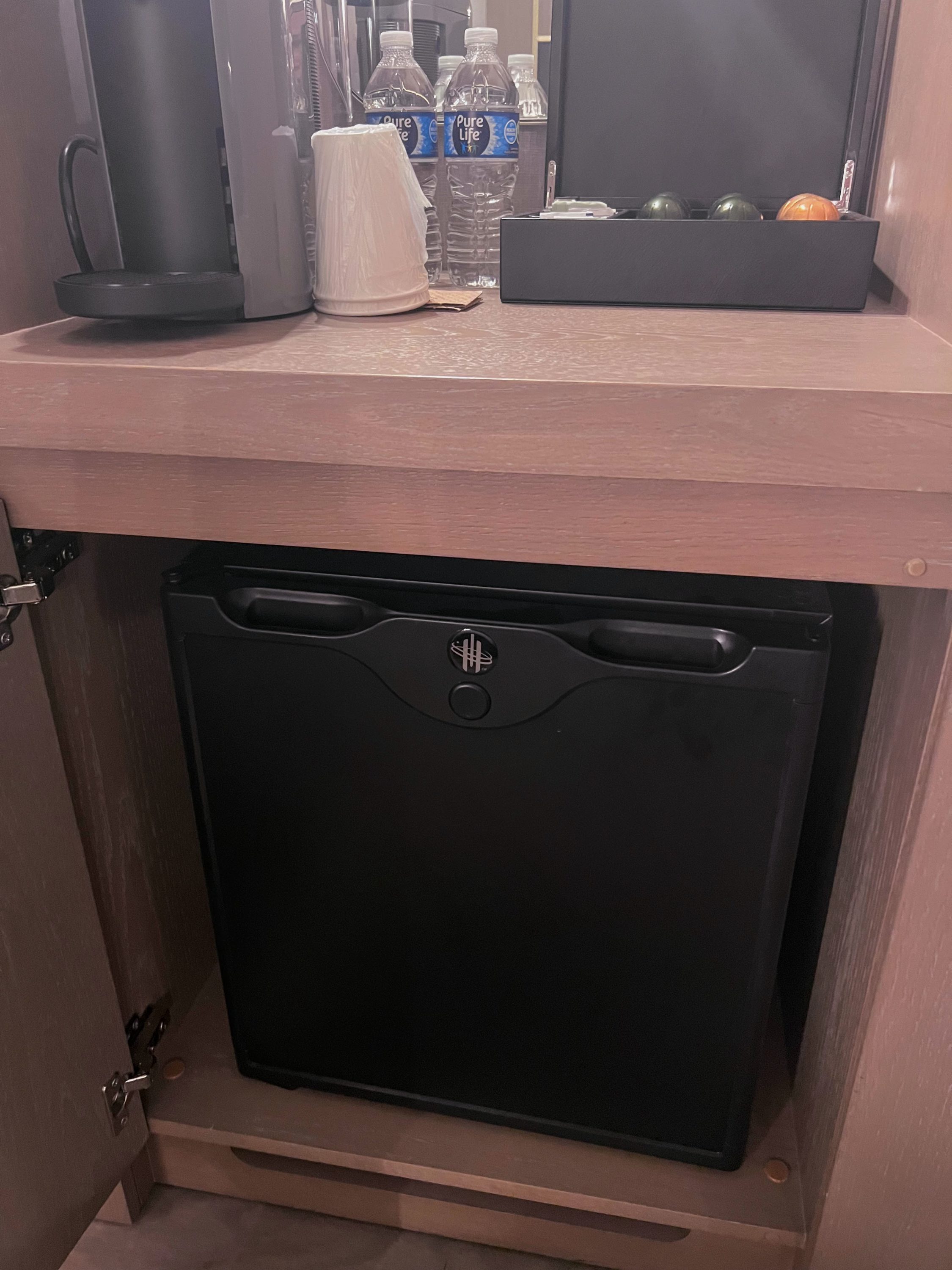 Thompson Central Park New York minifridge