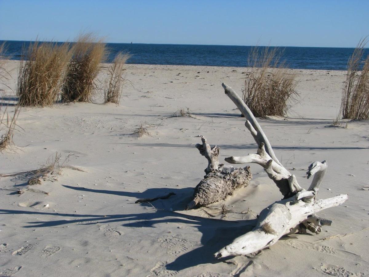 Bethel Beach