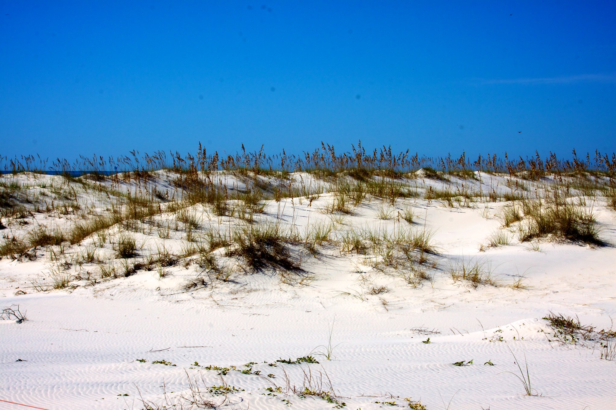 Bon Secour National Wildlife Refuge