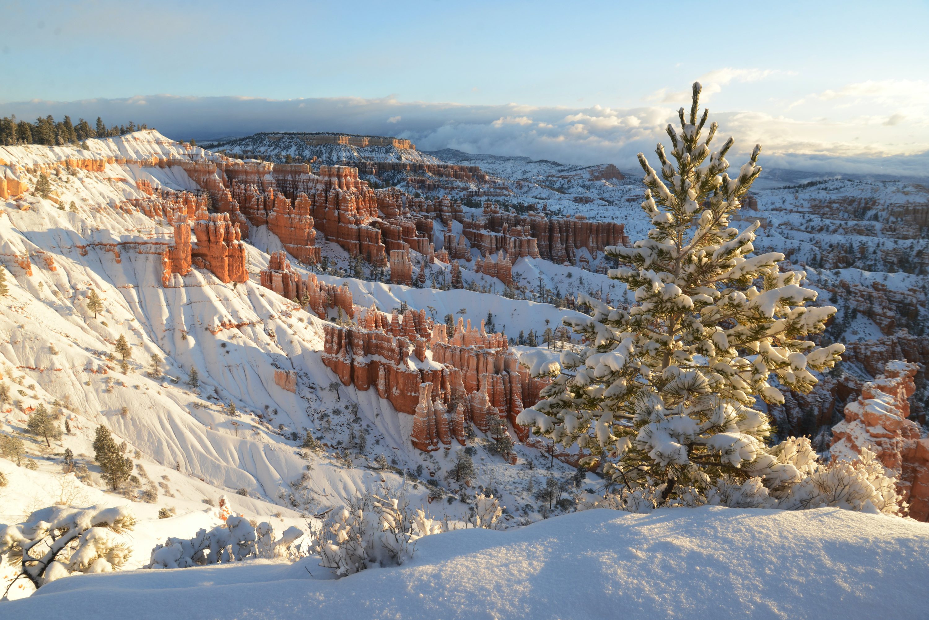 Bryce Canyon National Park in Winter