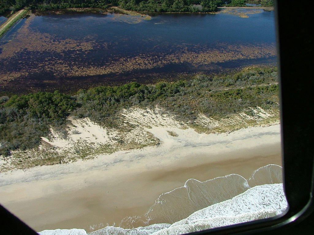 Chincoteague National Wildlife Refuge