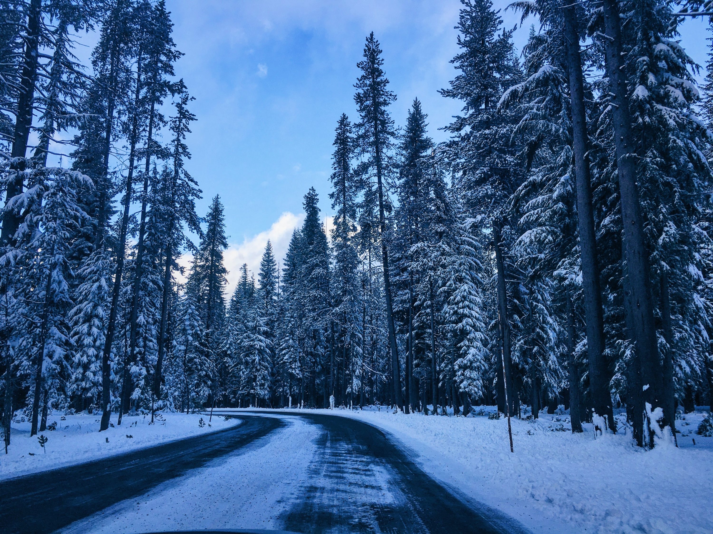 Driving to Crater Lake National Park