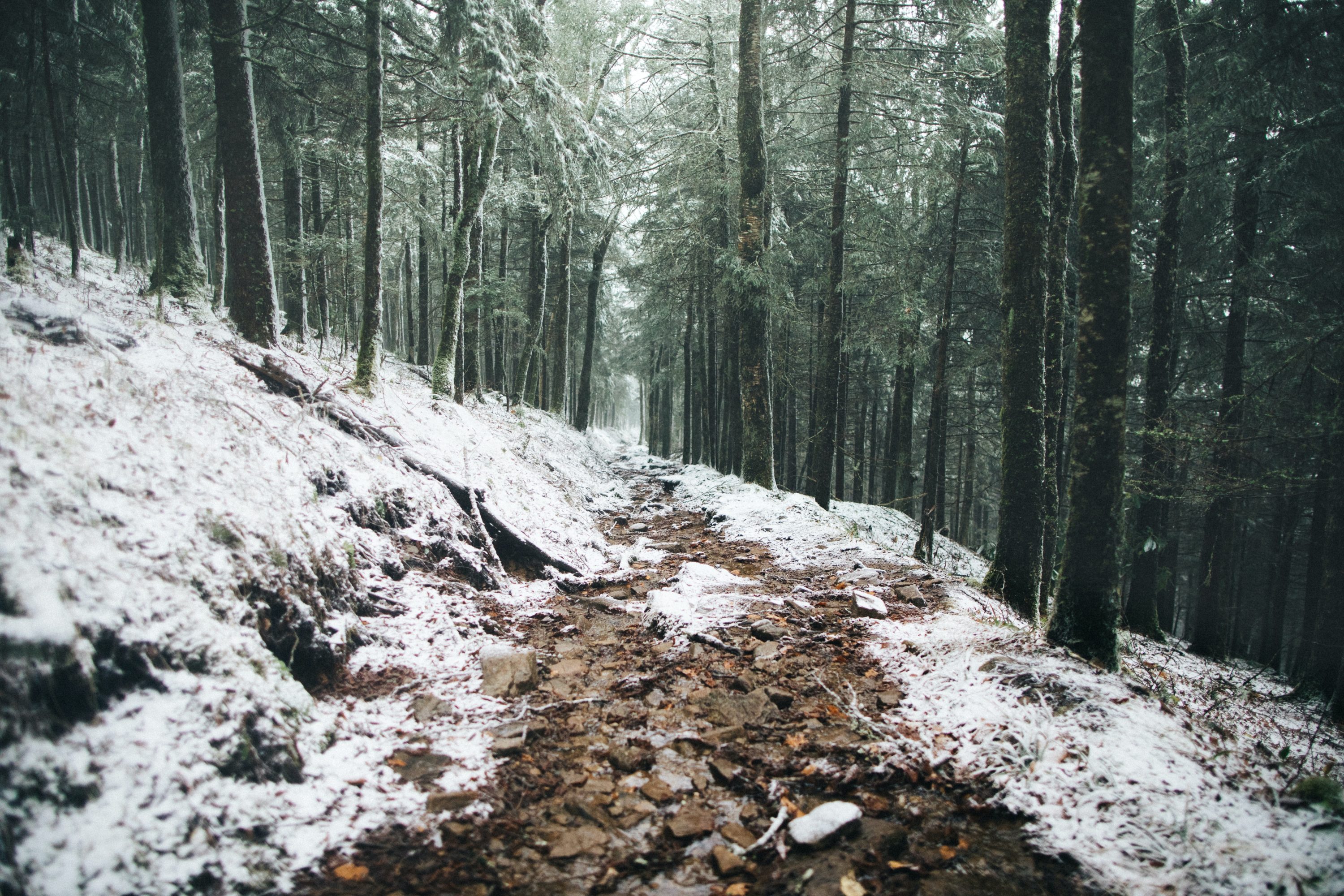 Great Smoky Mountains National Park in Winter