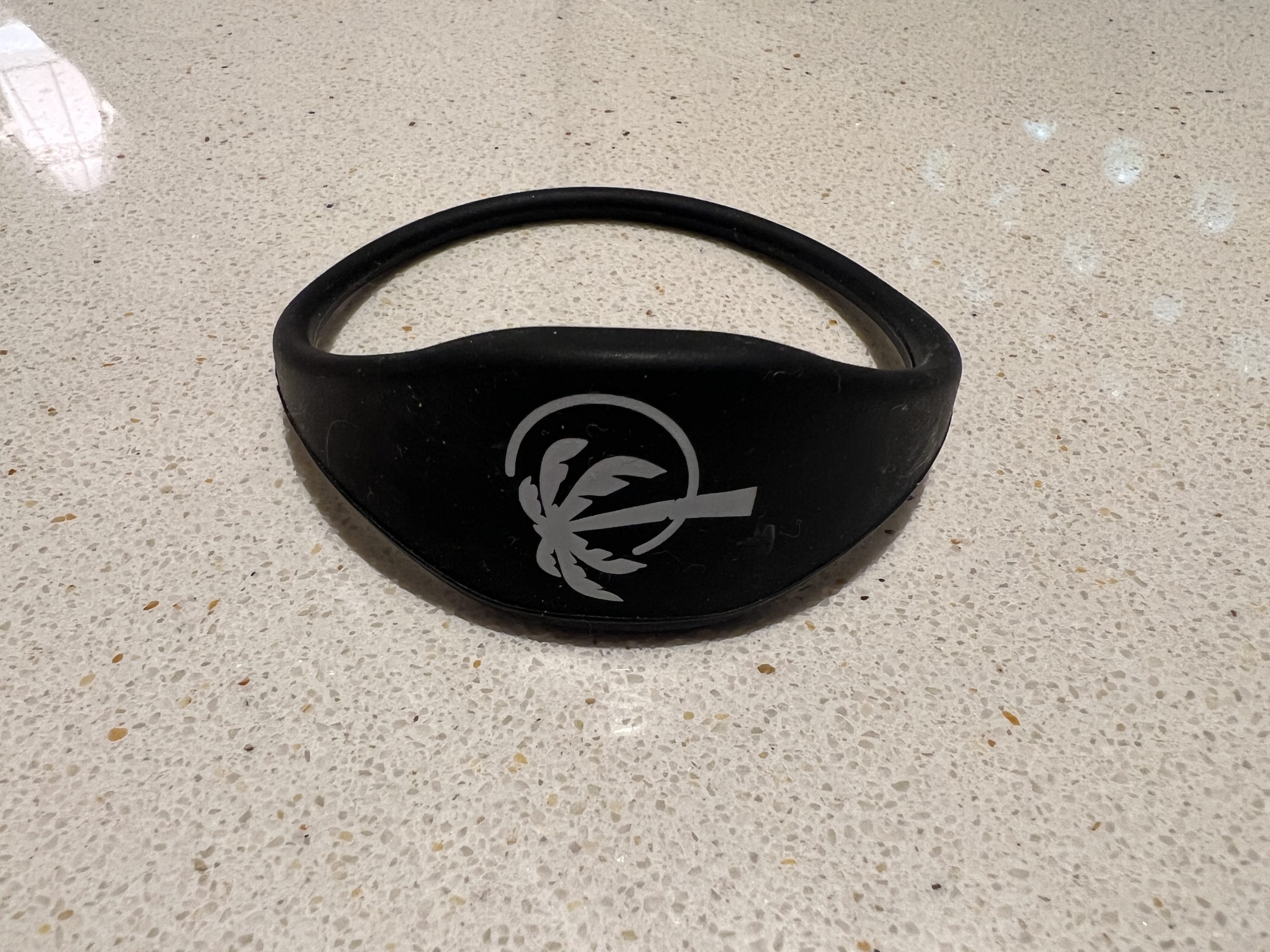 Hyatt Ziva Cap Cana Room key for Club guests