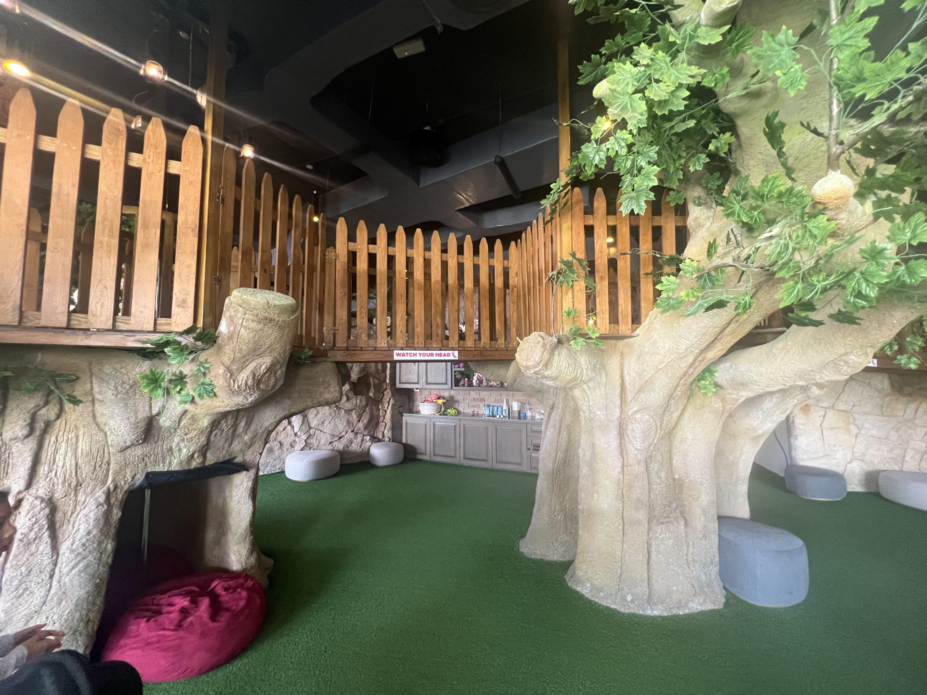 Hyatt Ziva Cap Cana Indoor treehouse