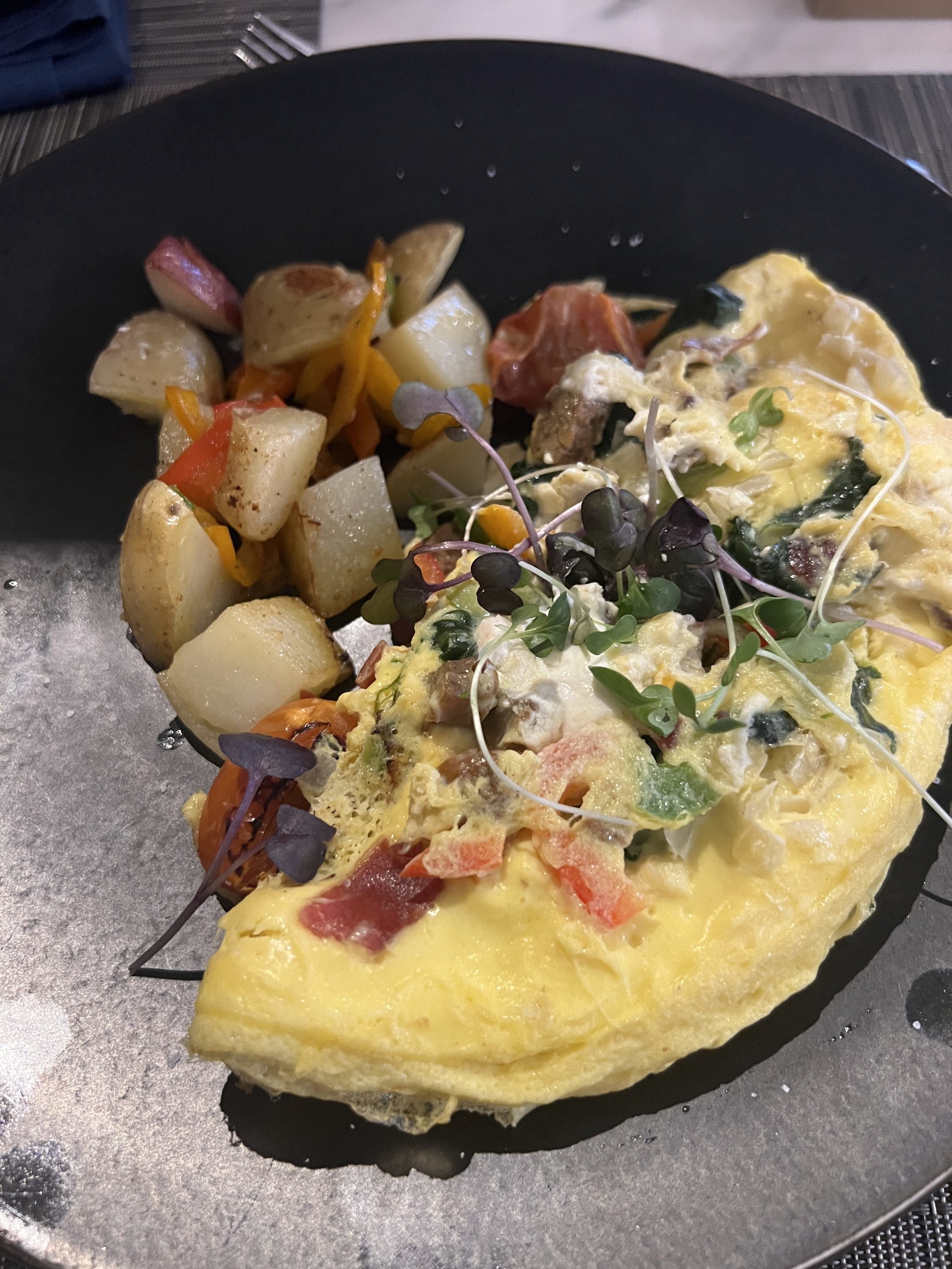 United Polaris Lounge omelette