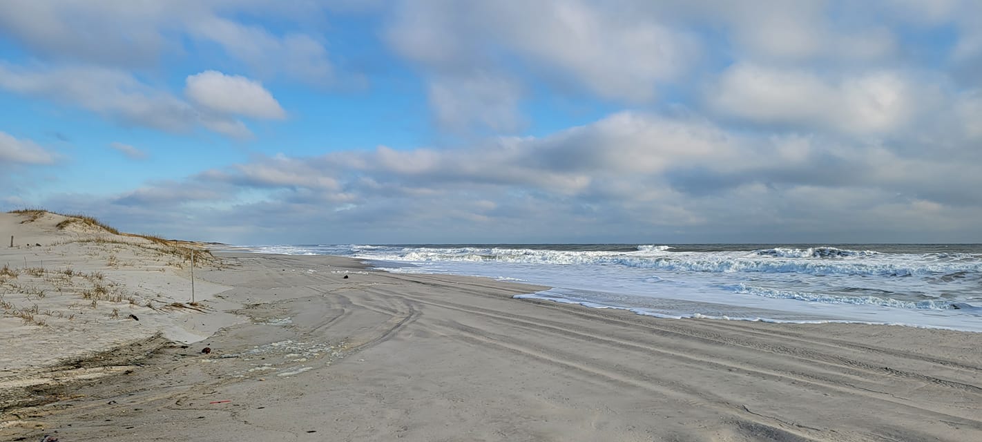 Island Beach State Park