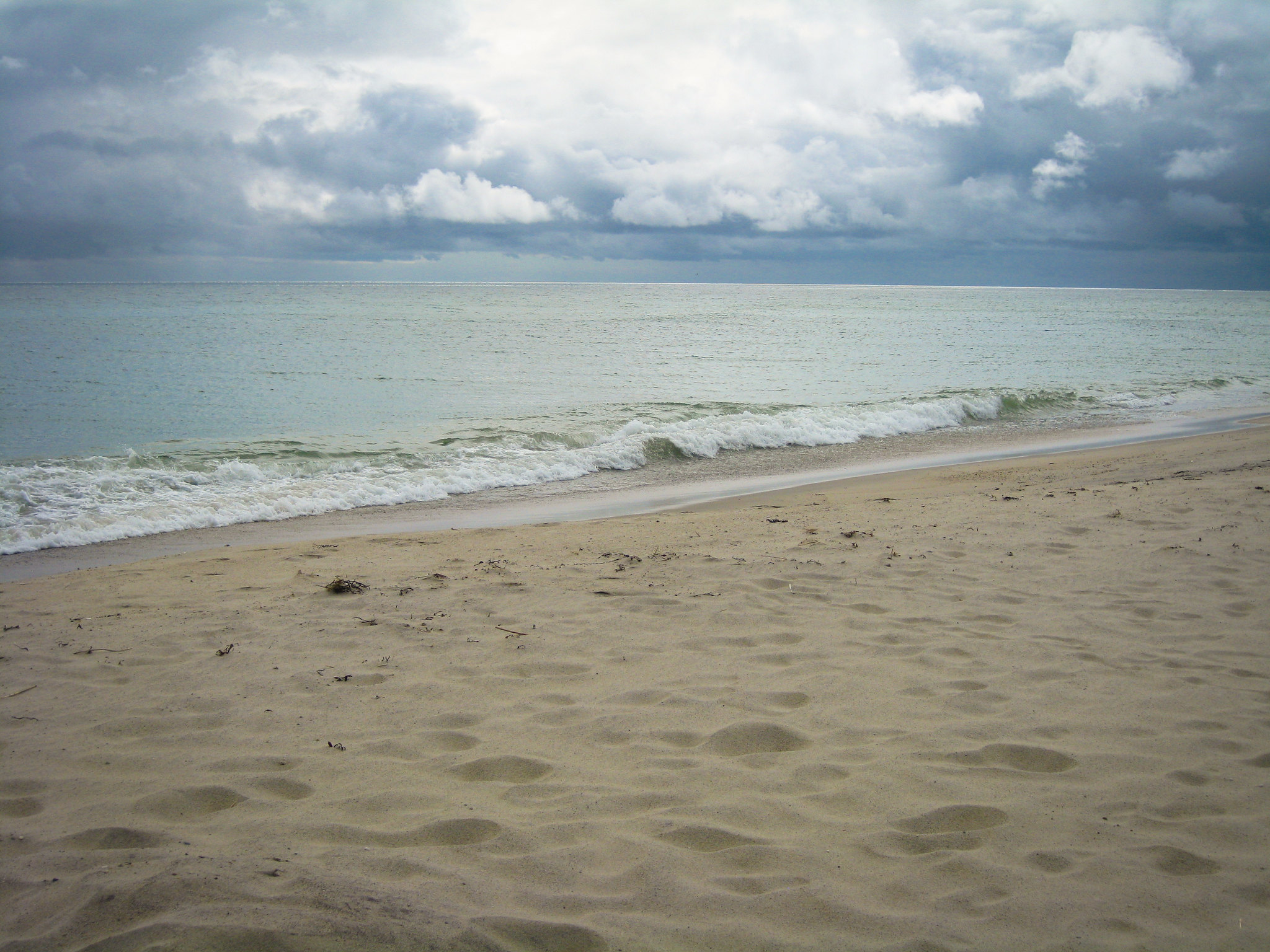 Madaket Beach
