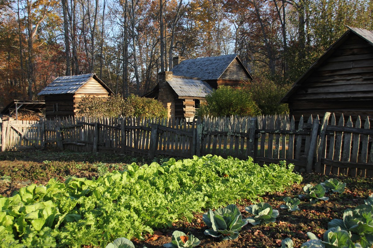 Mountain Farm Museum and Mingus Mill