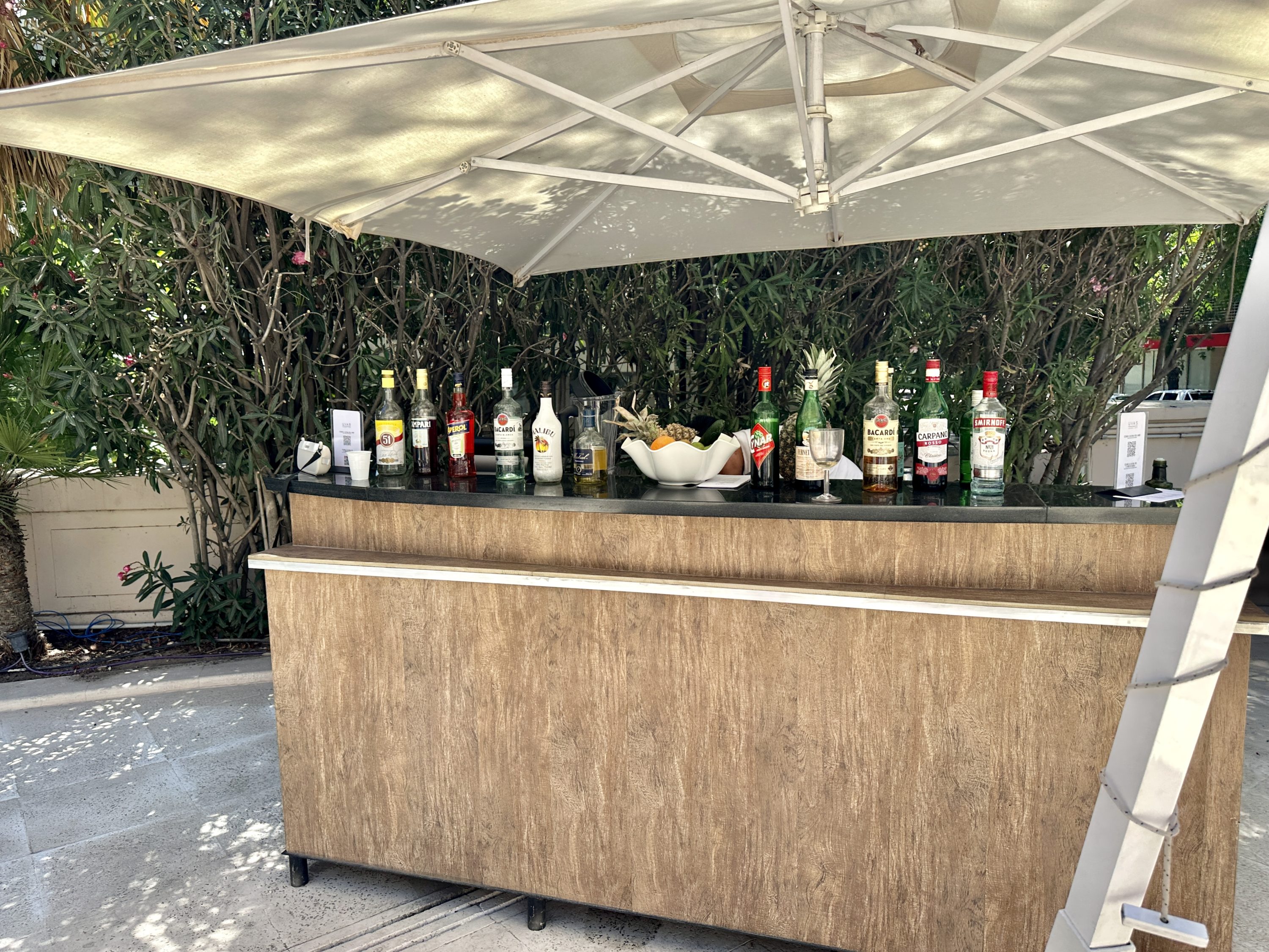 Park Hyatt Mendoza Pool Bar