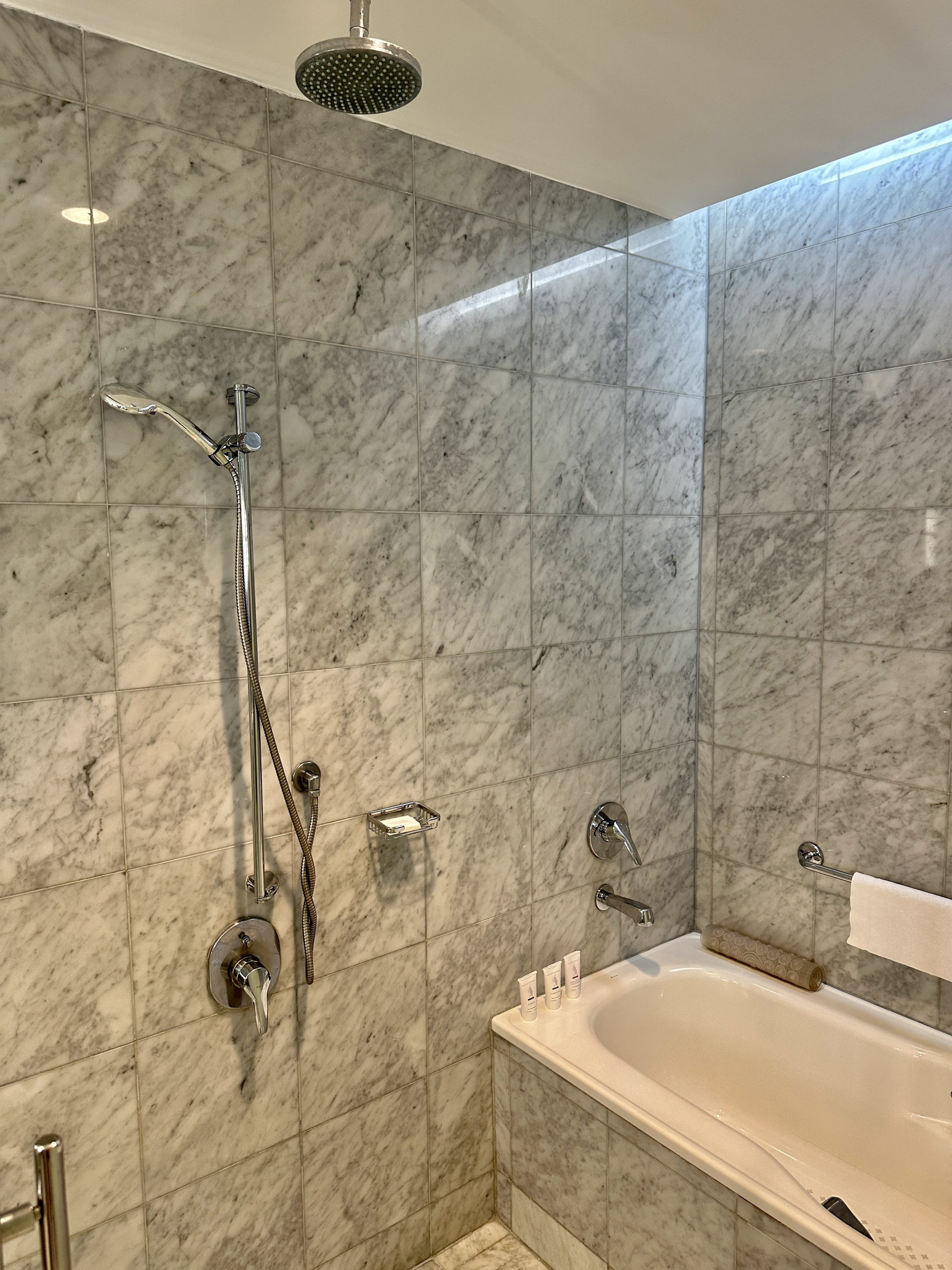 Park Hyatt Mendoza Showerhead