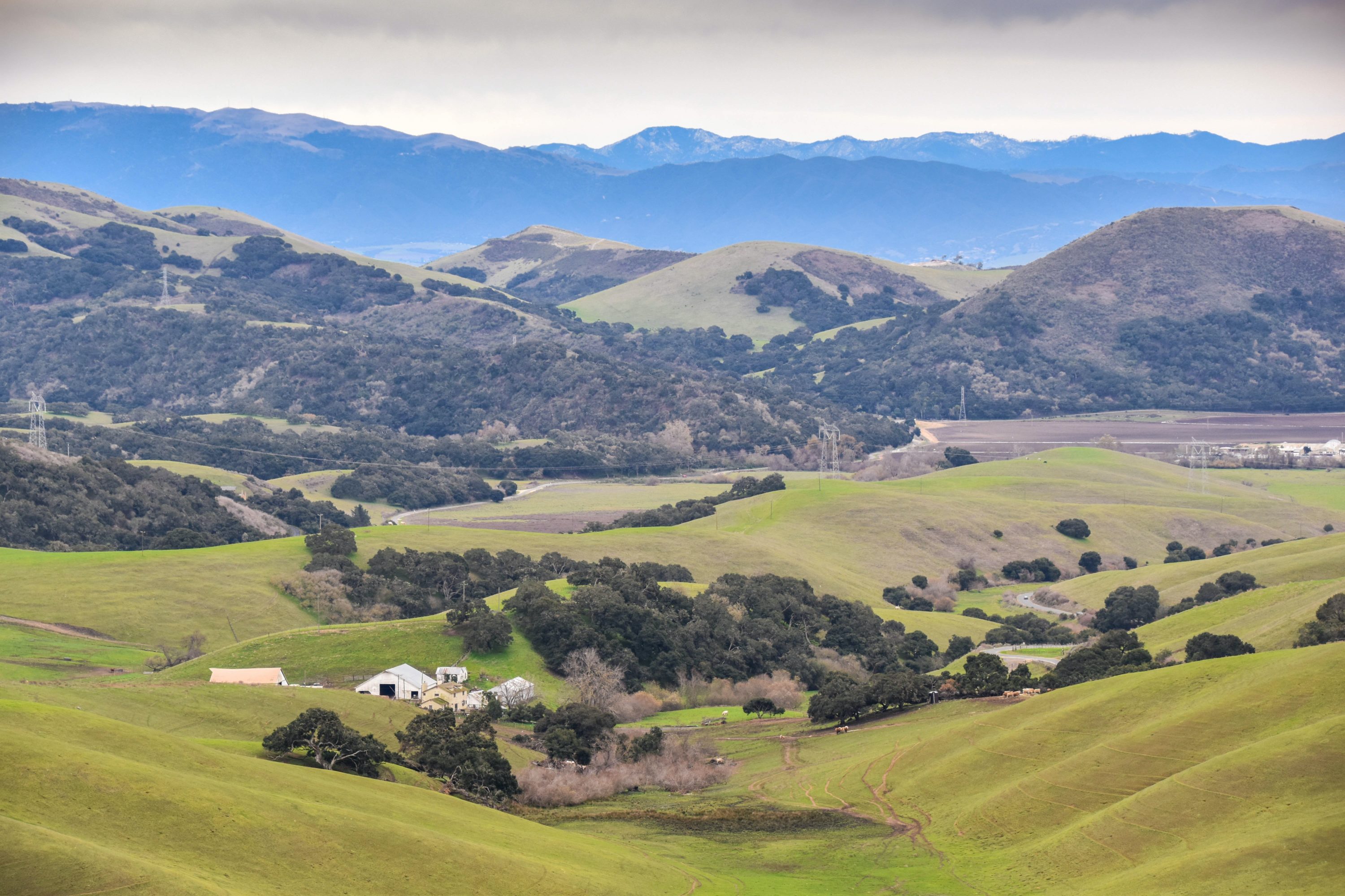 Salinas California