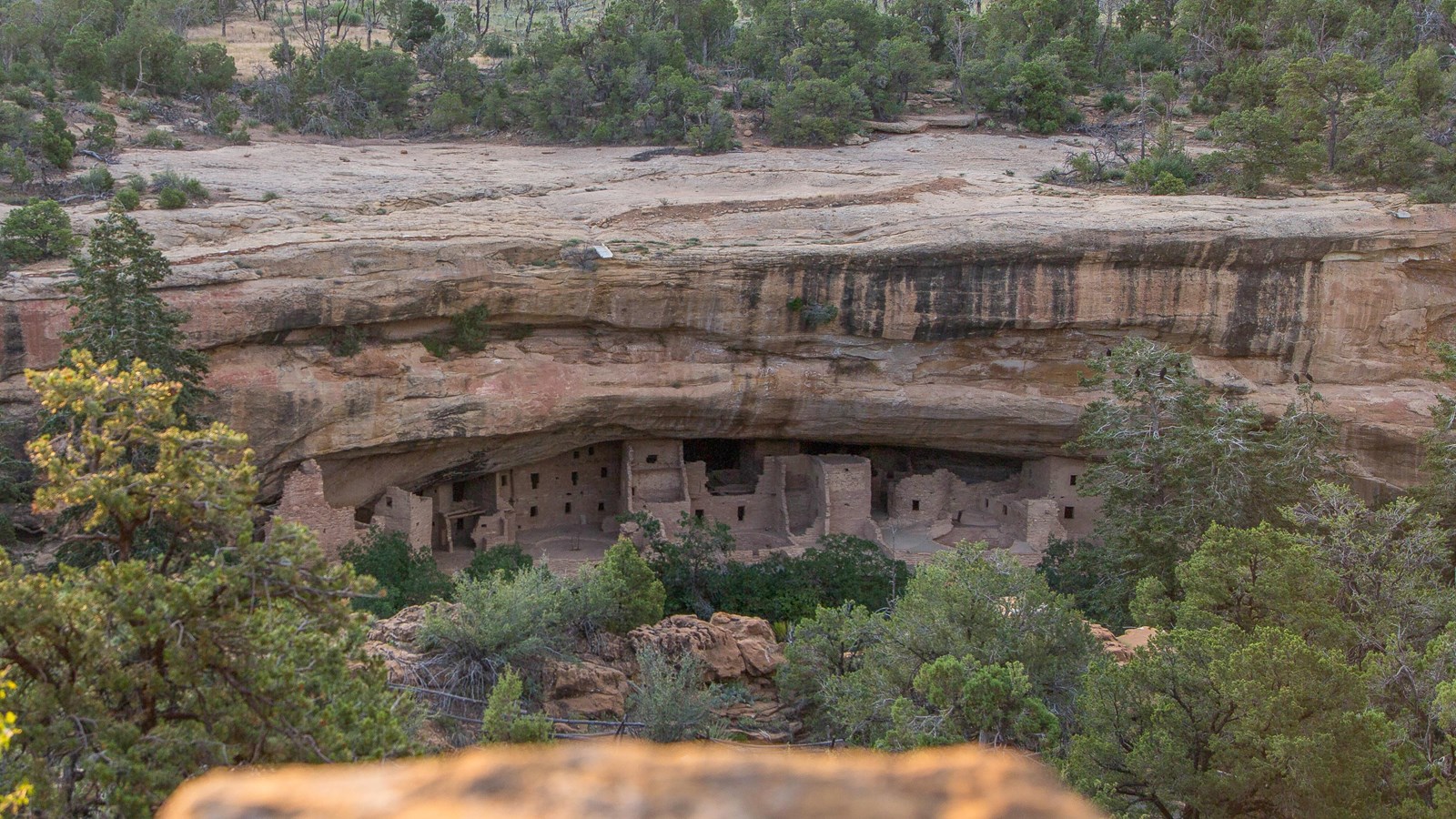 Spruce Tree House Overlook