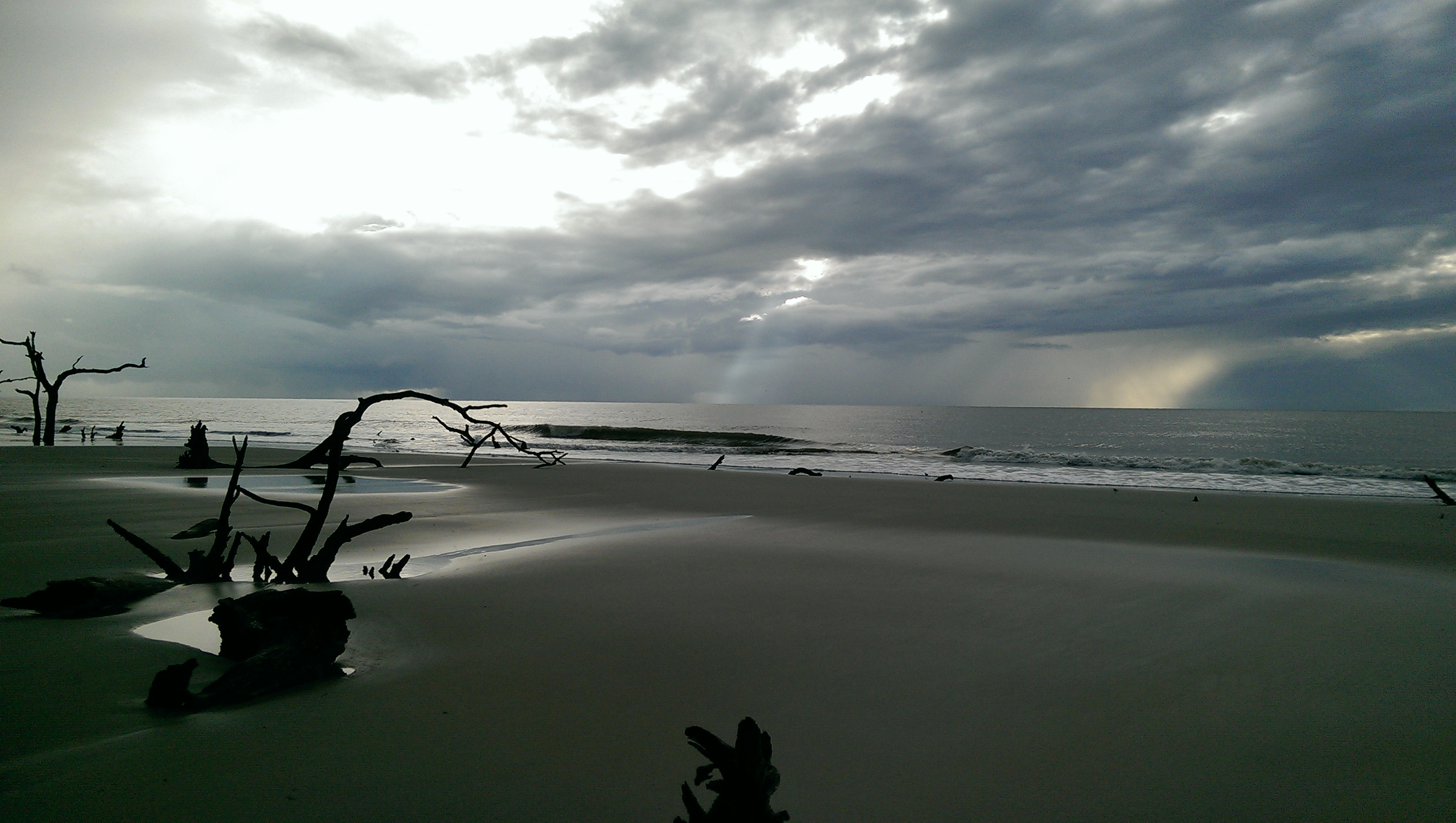 St. Catherines Island Stormy Boneyard