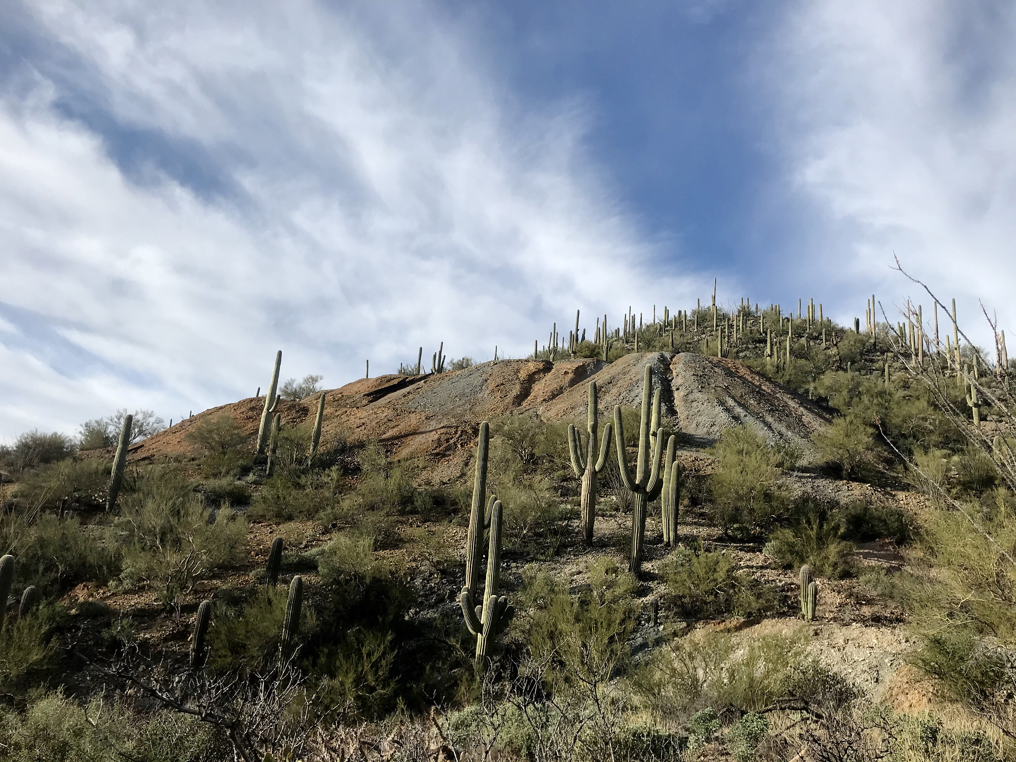 Wasson Peak