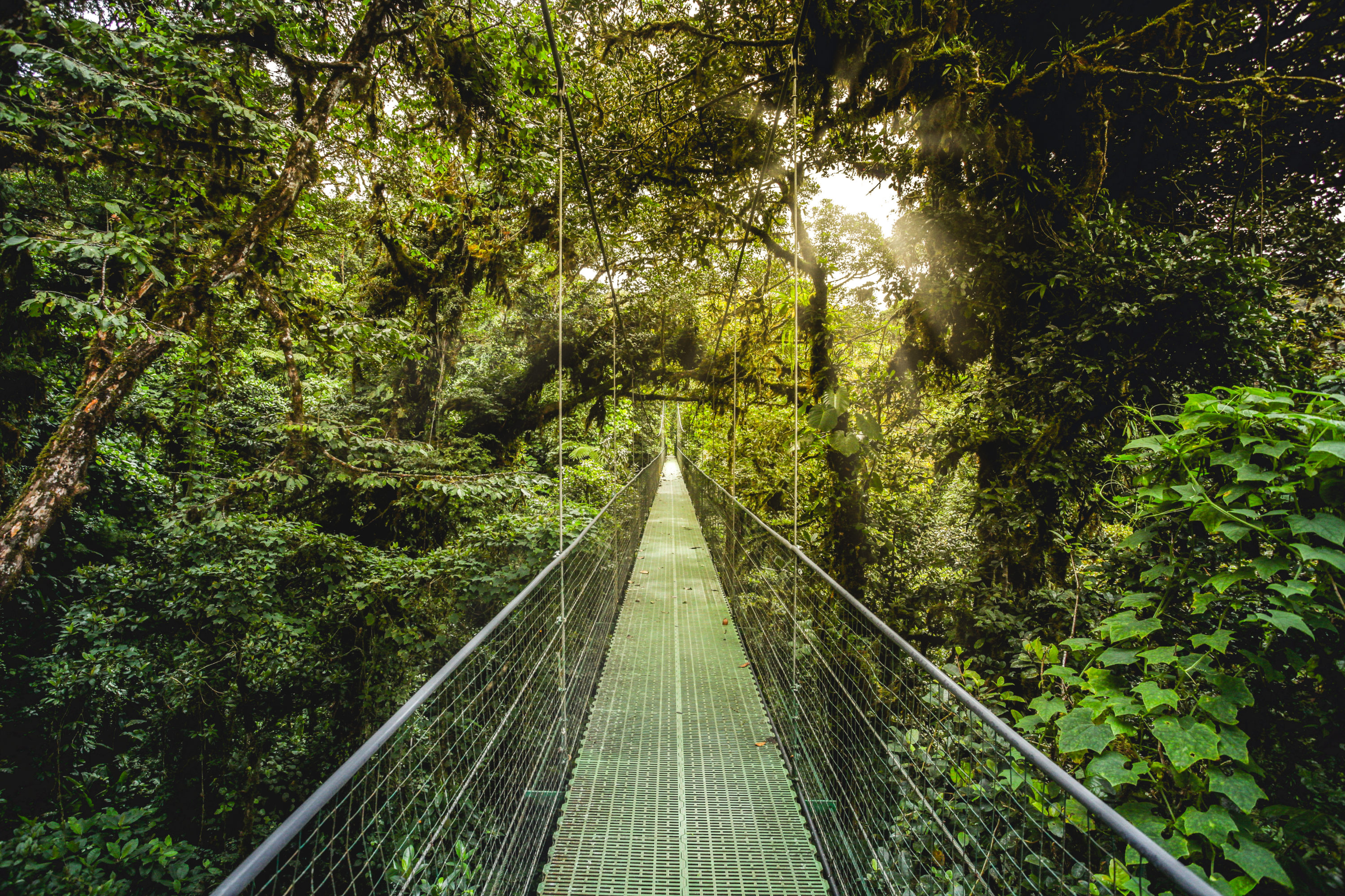 Místico Arenal Hanging Bridge in Costa Rica.
