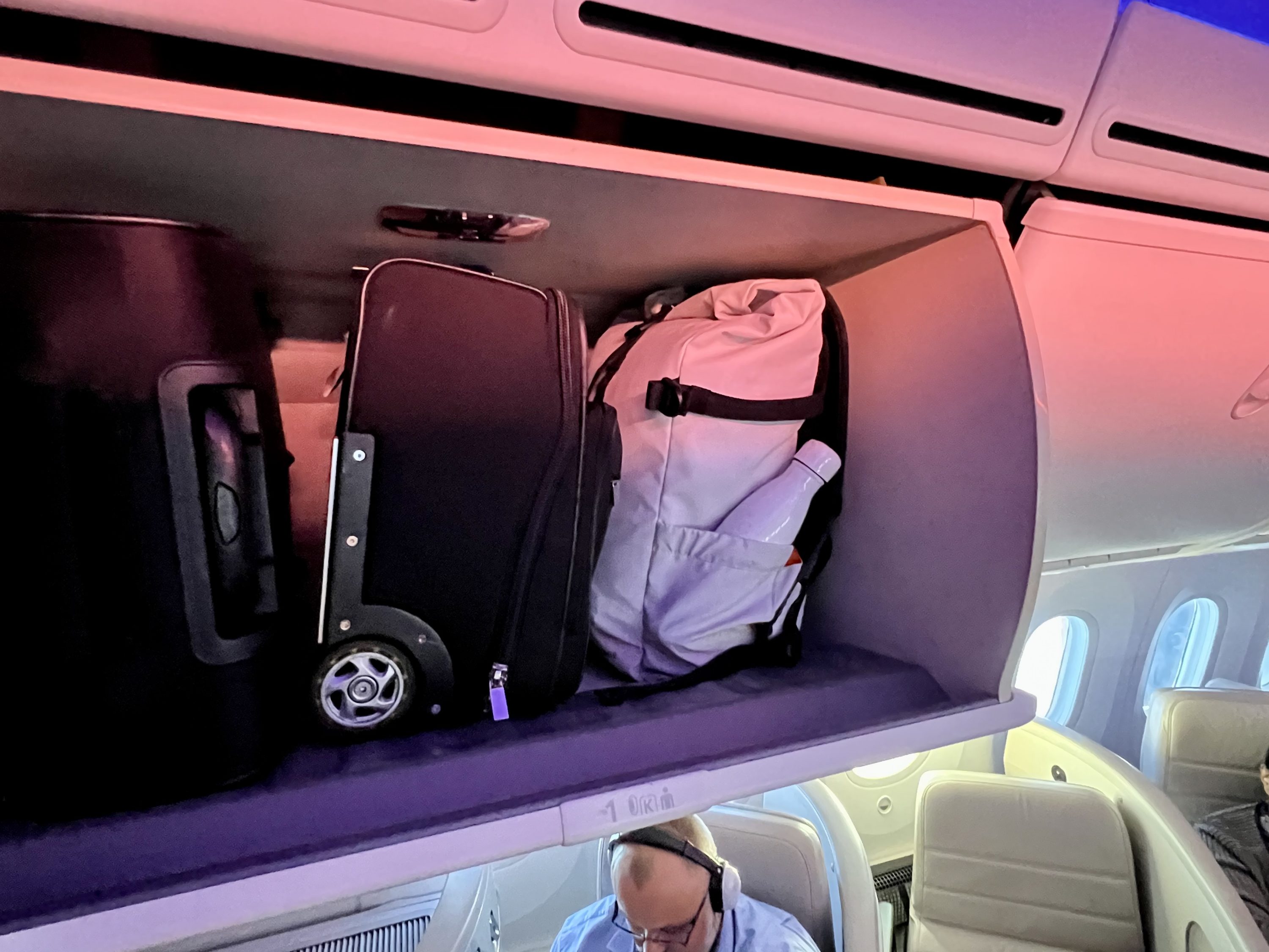 Air New Zealand Boeing 787 business class cabin overhead bins