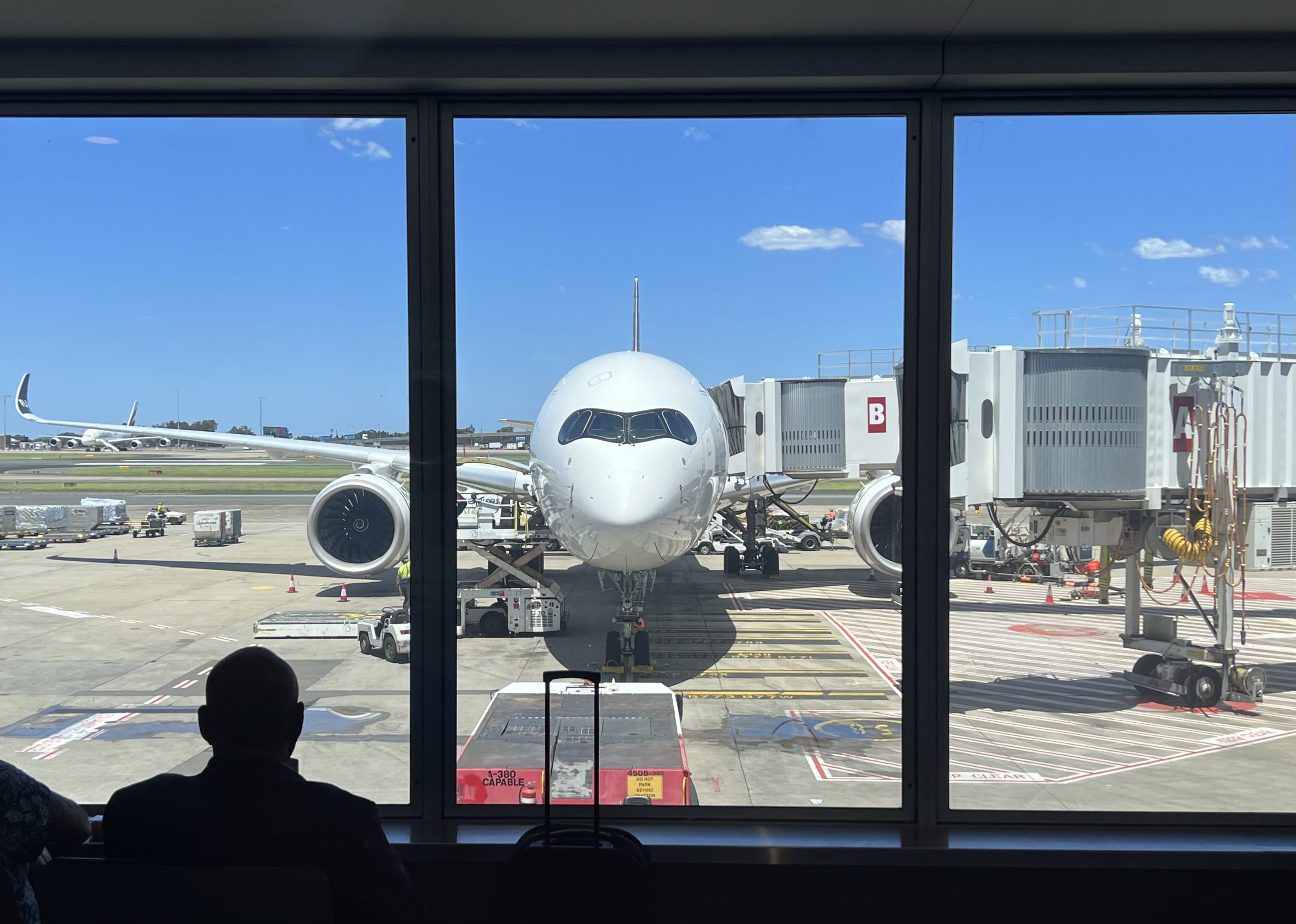 American Express Centurion Lounge Sydney views