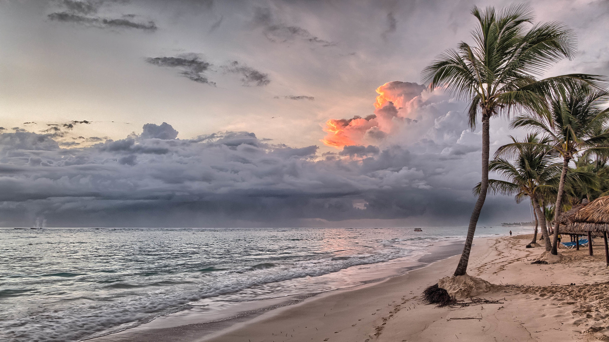 Bavaro Beach Dominican Republic