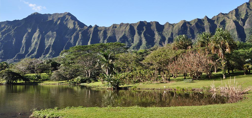 Hoomualuhia Botanical Garden Oahu Hawaii