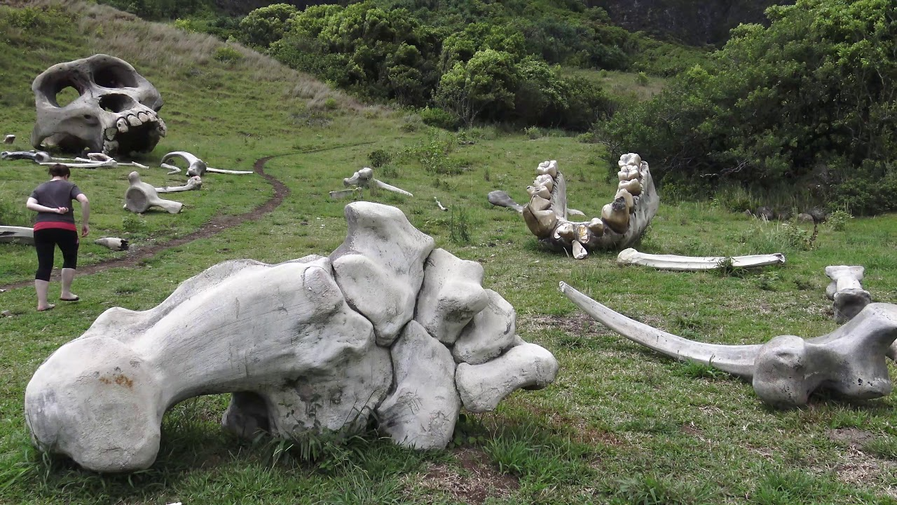 Oahu Hawaii Kualoa Ranch Jurassic Park Lost Kong Skull Island