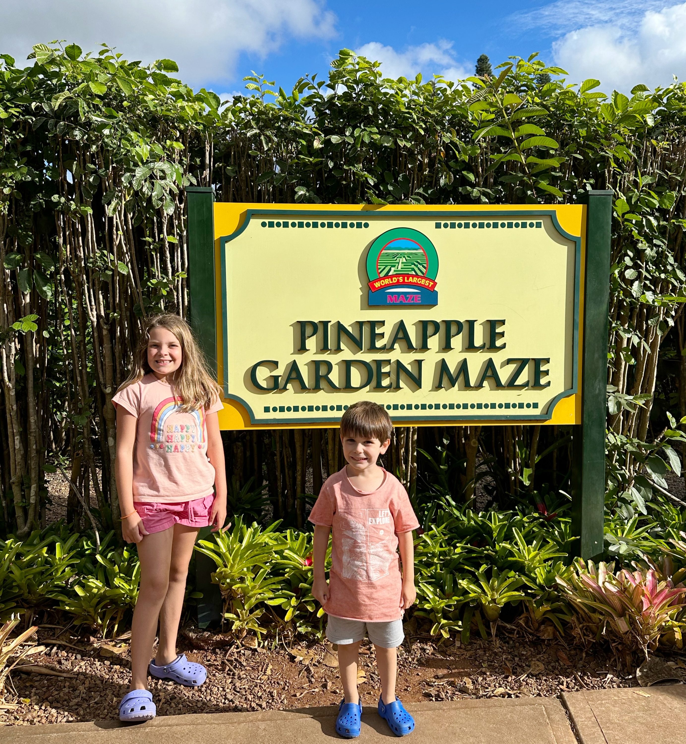 Pineapple Maze at Dole Plantation Oahu Hawaii